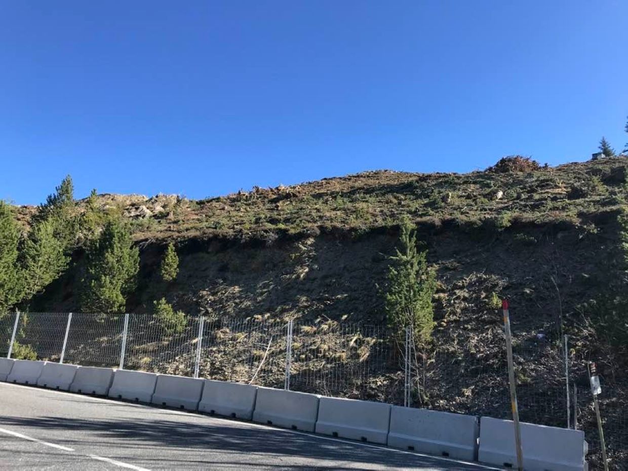 La zona del bosc de Pal on s'han talat els arbres.