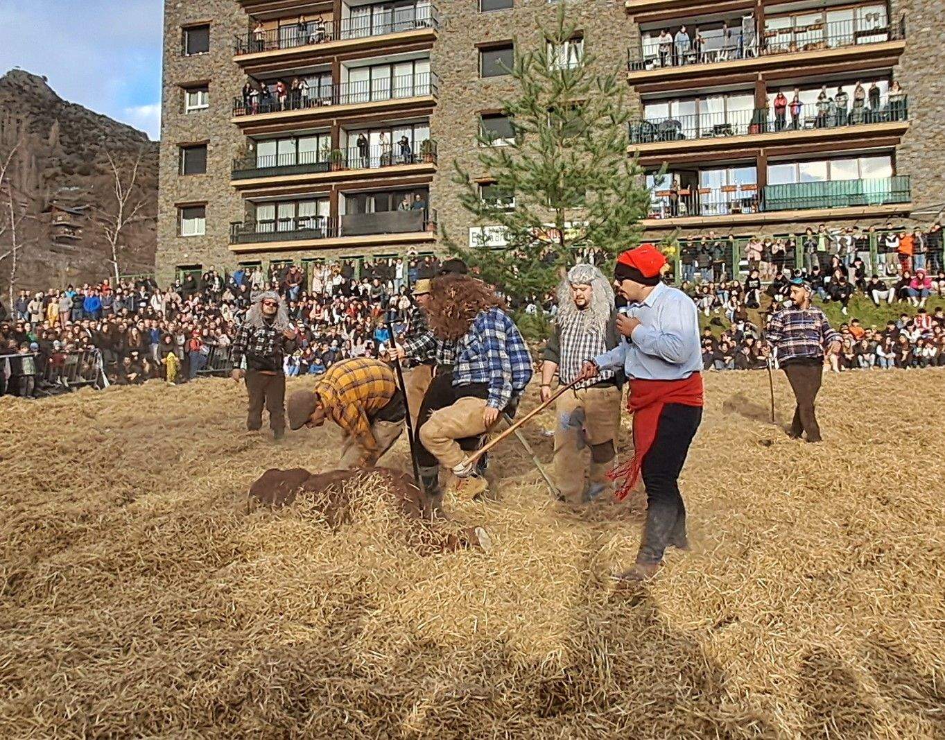 L'ossa antiga, foragitada pels dallaires.