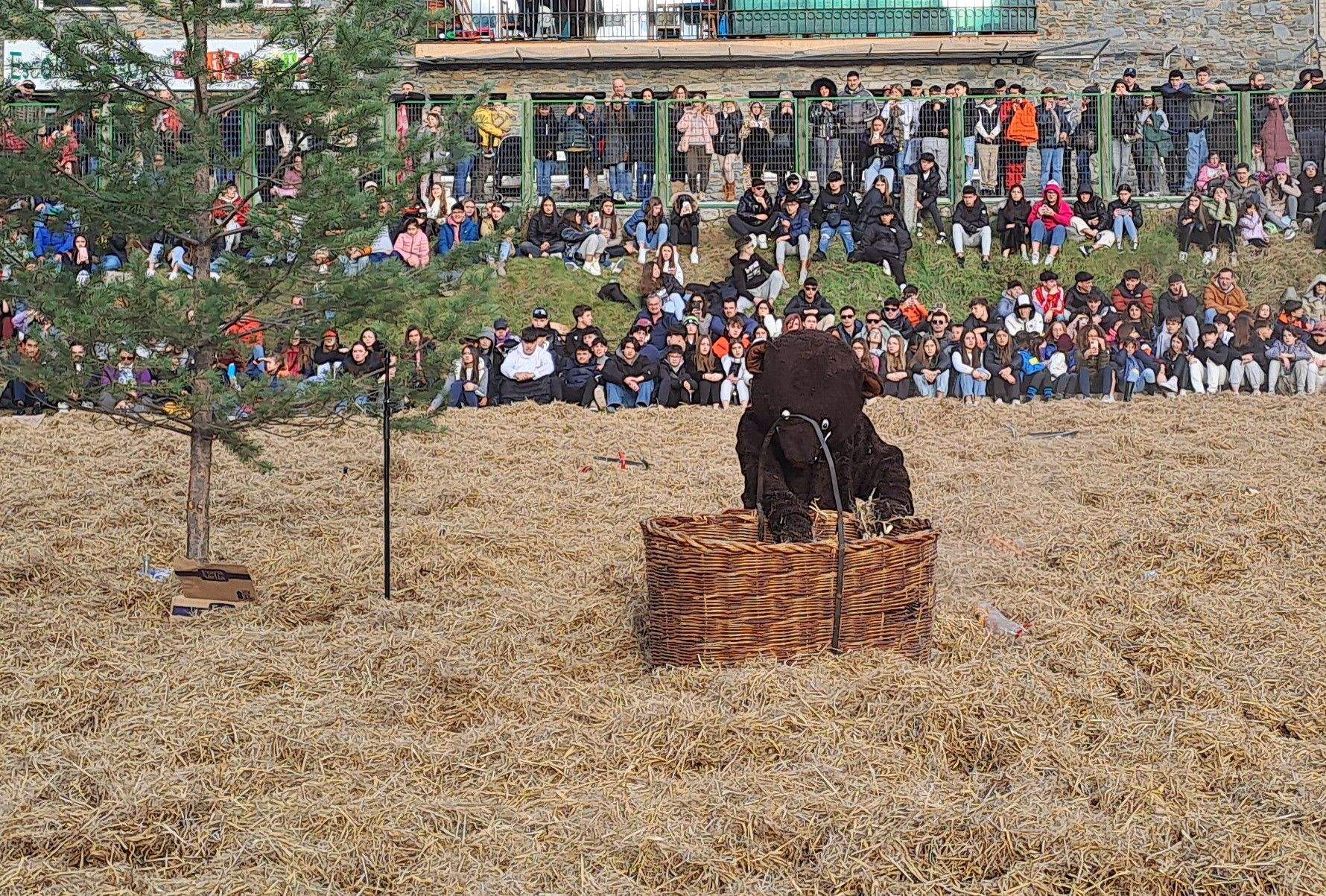 L'ossa nova es posa les botes.