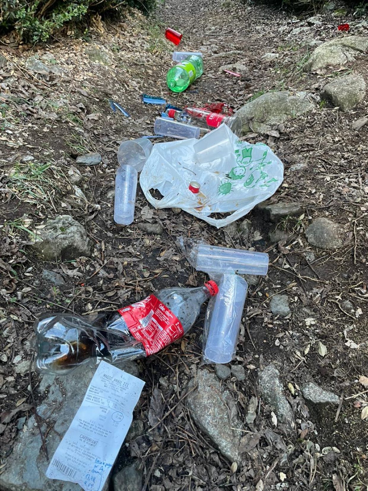 Restes d'un 'botellot' al Camí del riu blanc a Encamp. Restes d'un 'botellot' al Camí del riu blanc a Encamp.