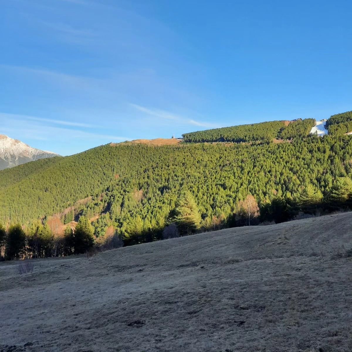Vista del bosc de la Caubella. // Apapma Vista del bosc de la Caubella. // Apapma