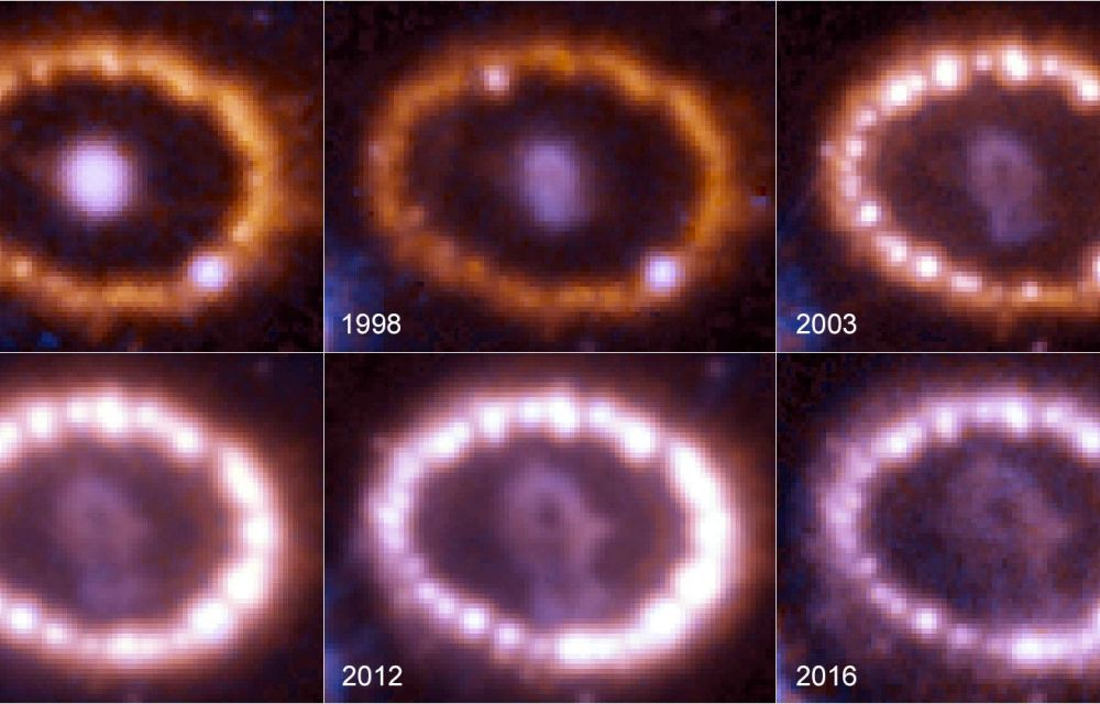 Evolució de l'aspecte de SN1987A observat pel Hubble entre el 1994 i el 2016 - Crèdit: NASA, ESA, R. Kirshner, P. Challis Evolució de l'aspecte de SN1987A observat pel Hubble entre el 1994 i el 2016 - Crèdit: NASA, ESA, R. Kirshner, P. Challis
