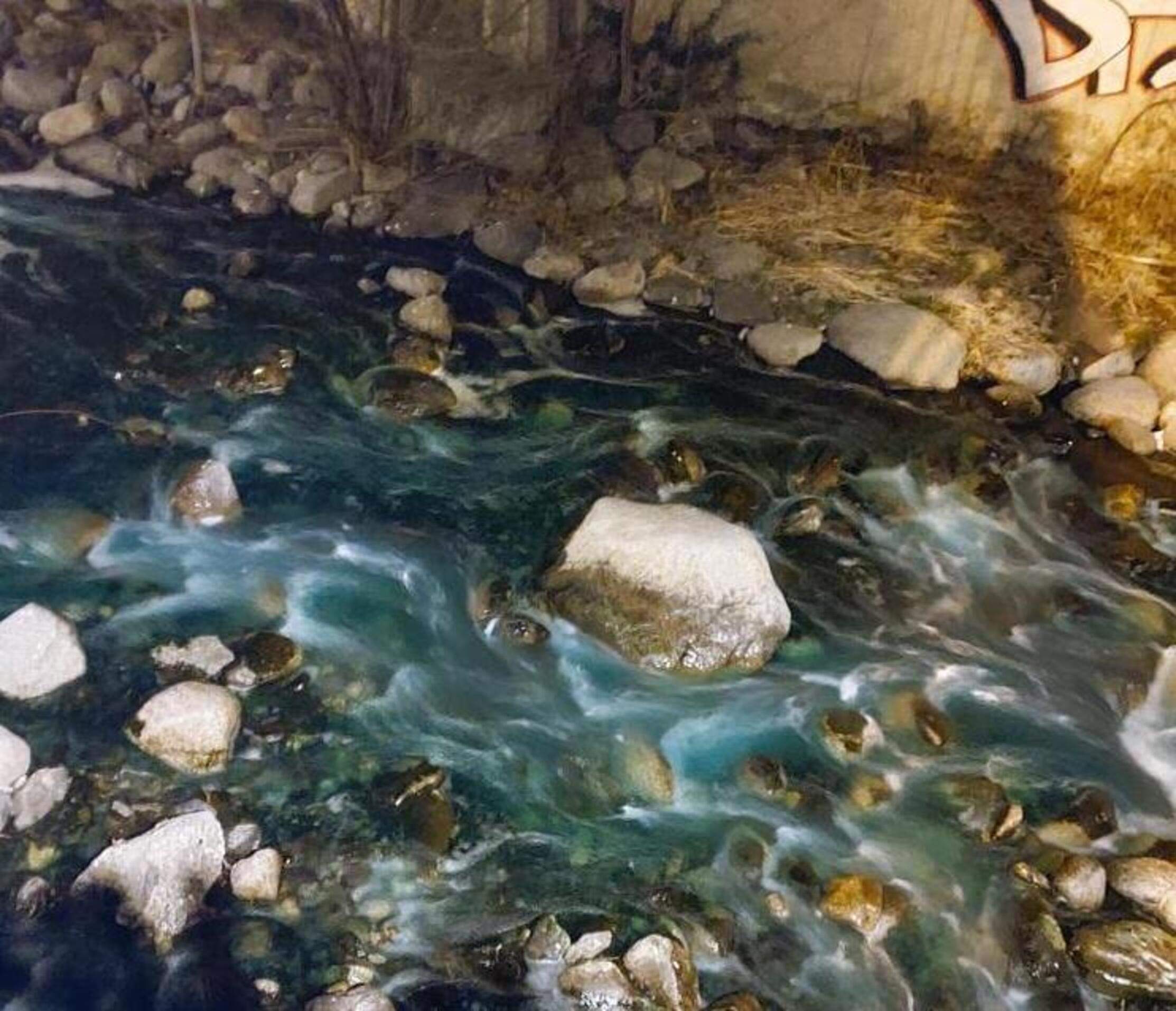 Imatge que presentava aquest vespre la Valira d'Orient al seu pas per Encamp.