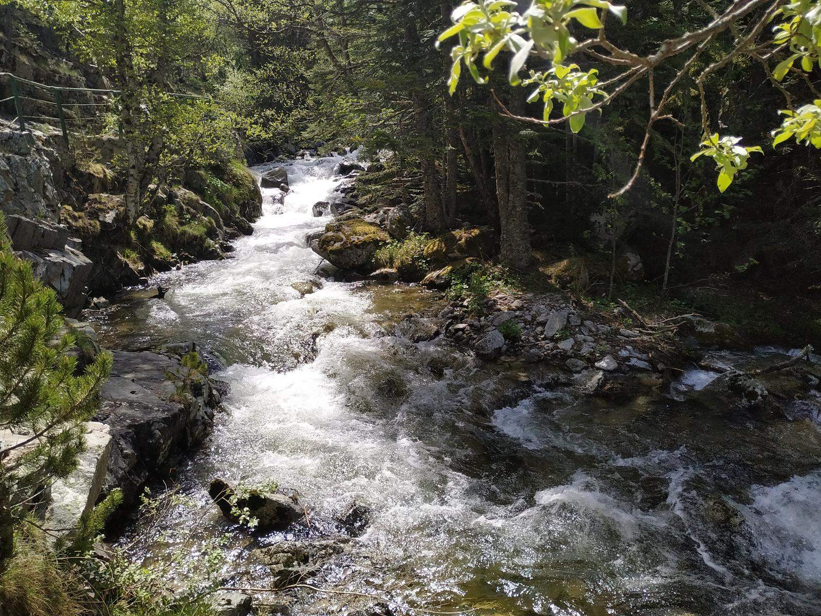 Una imatge del riu Madriu.
