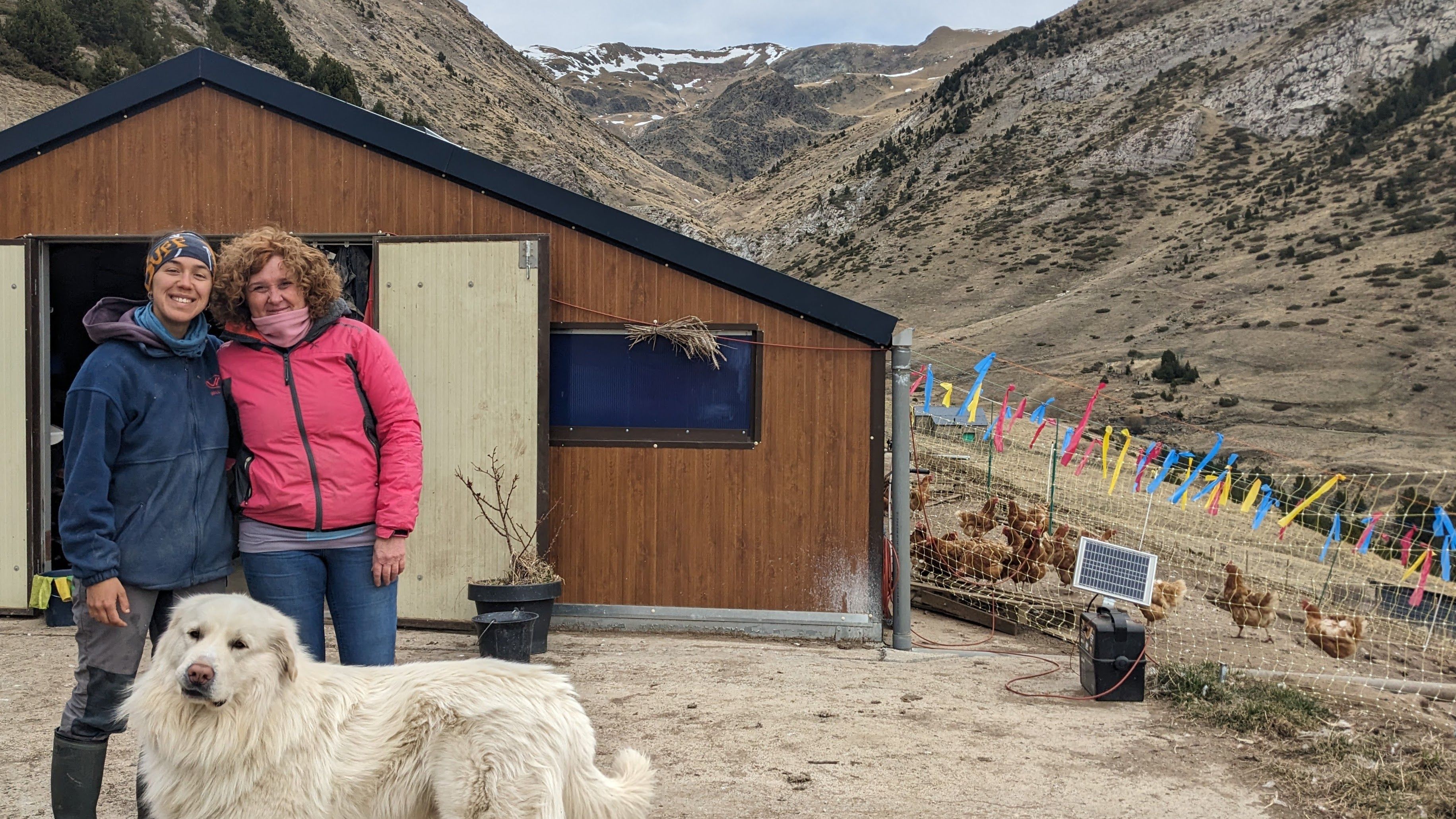 PXL 20240222 120206674 (1)