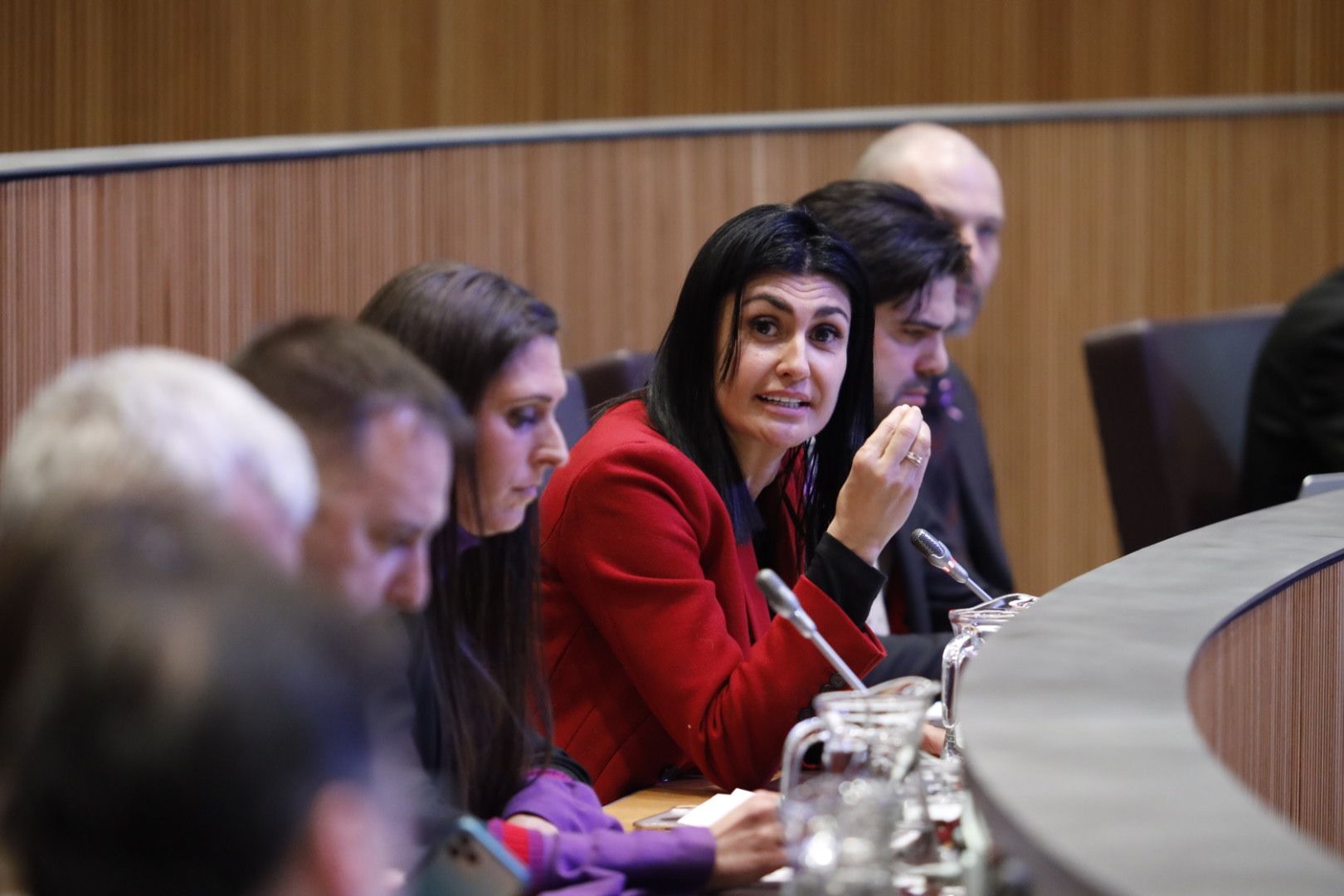 Carine Montaner intervenint en la sessió del Consell General d'aquest mateix dijous.