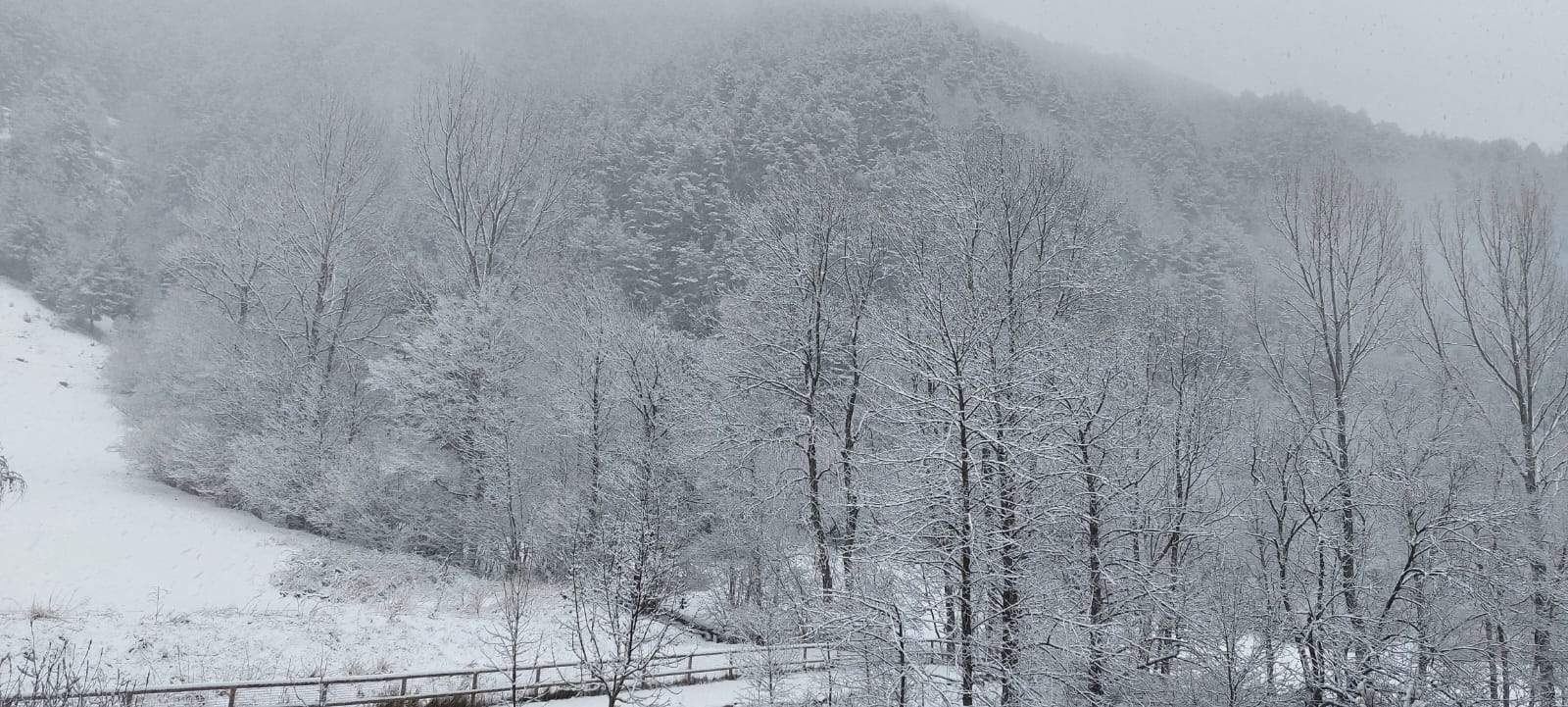 Una imatge d'aquest matí a la Cortinada.