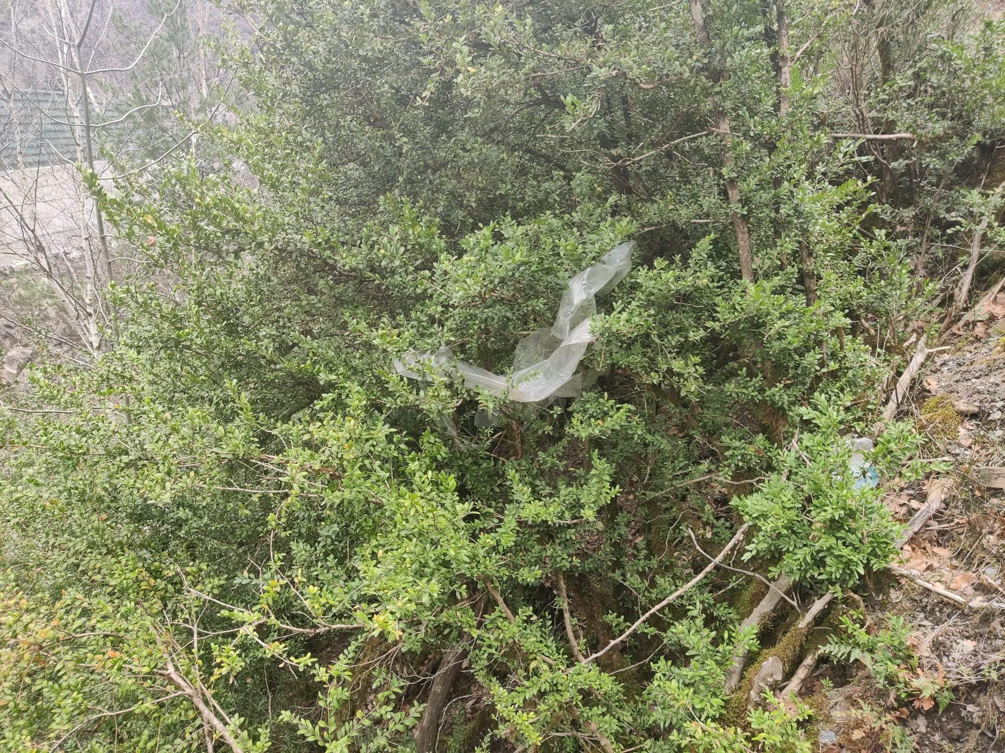 Un dels plàstics escampats.