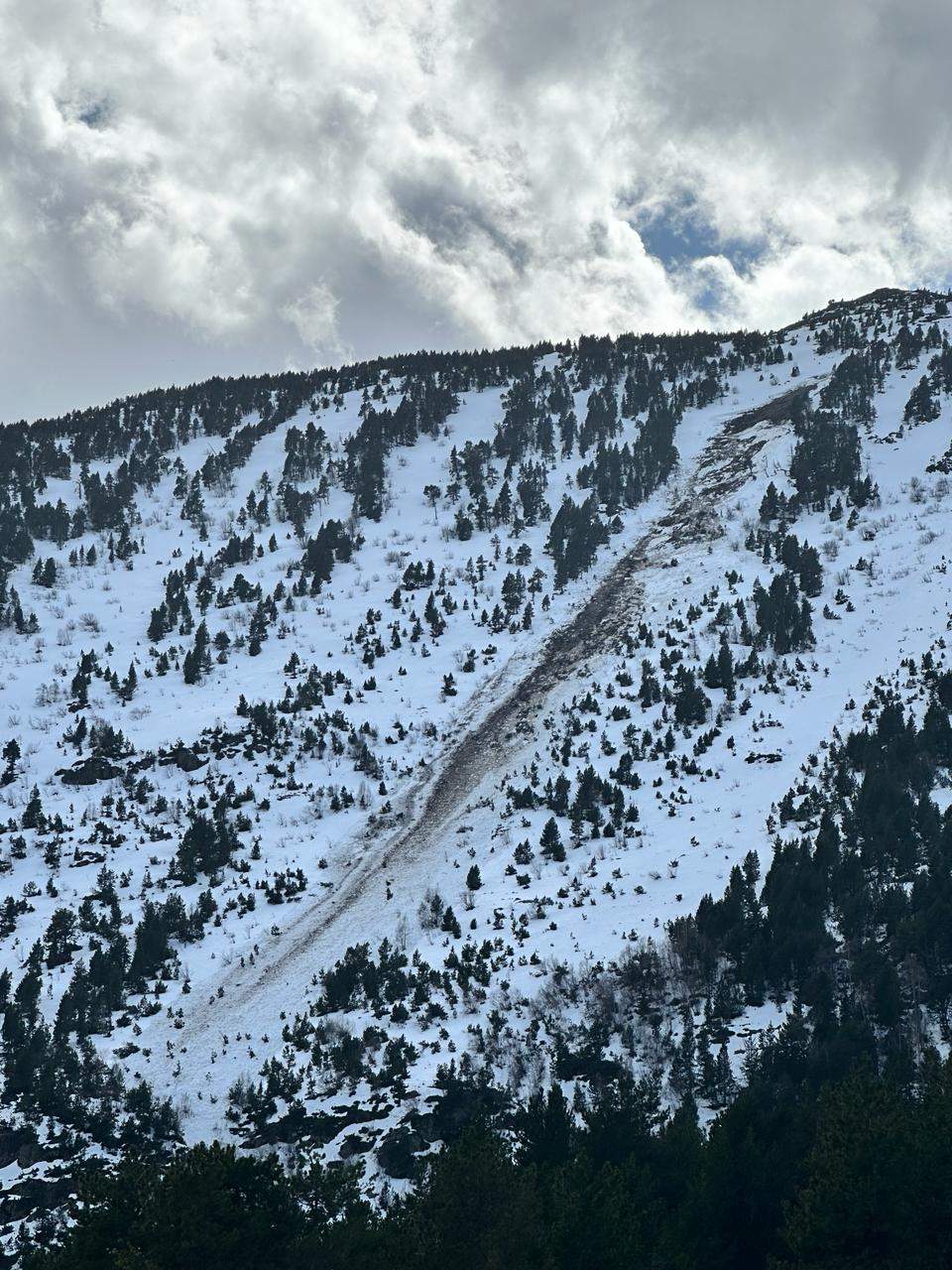 Allau a l'Hortell d'Arcalís