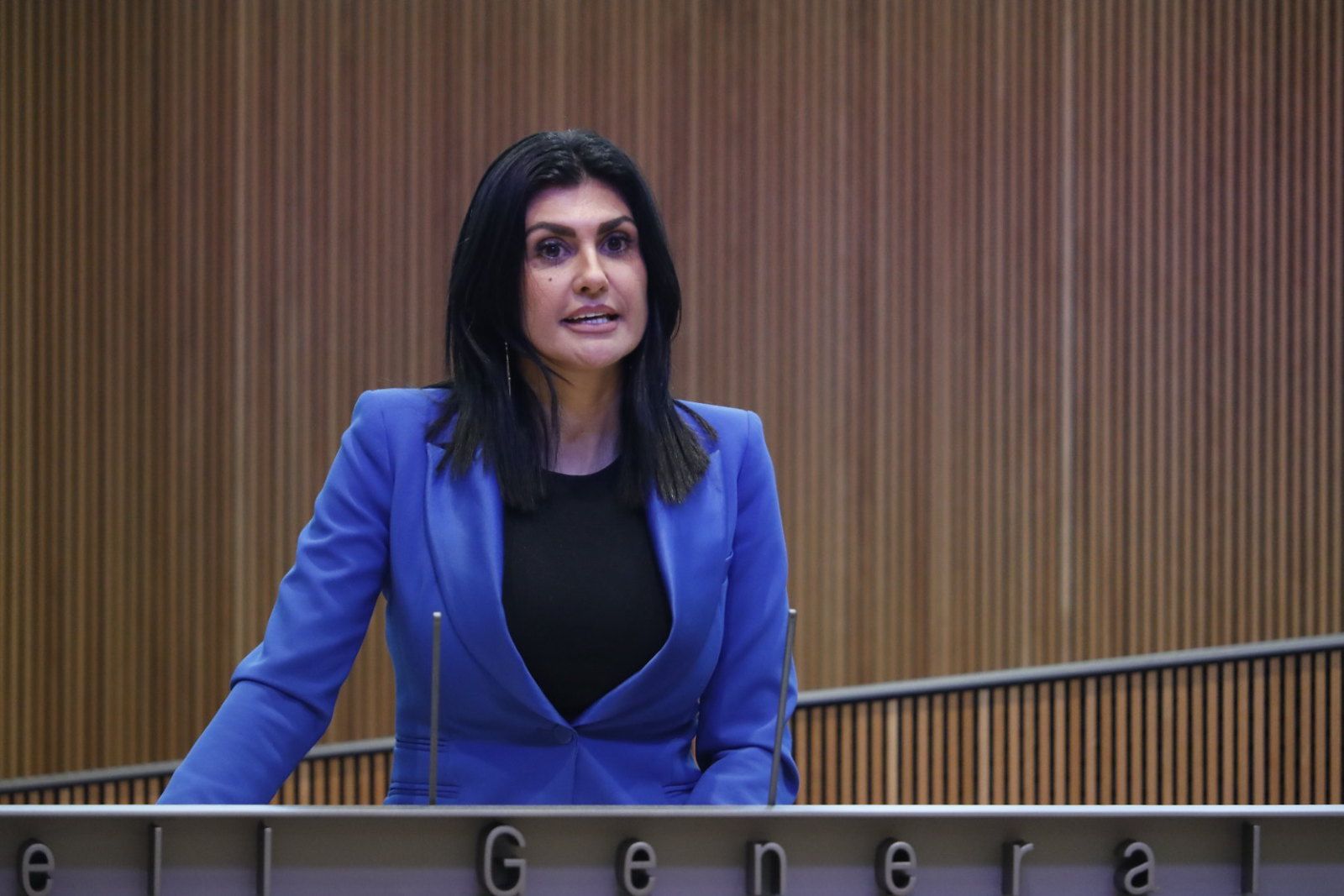 La consellera general Carine Montaner.