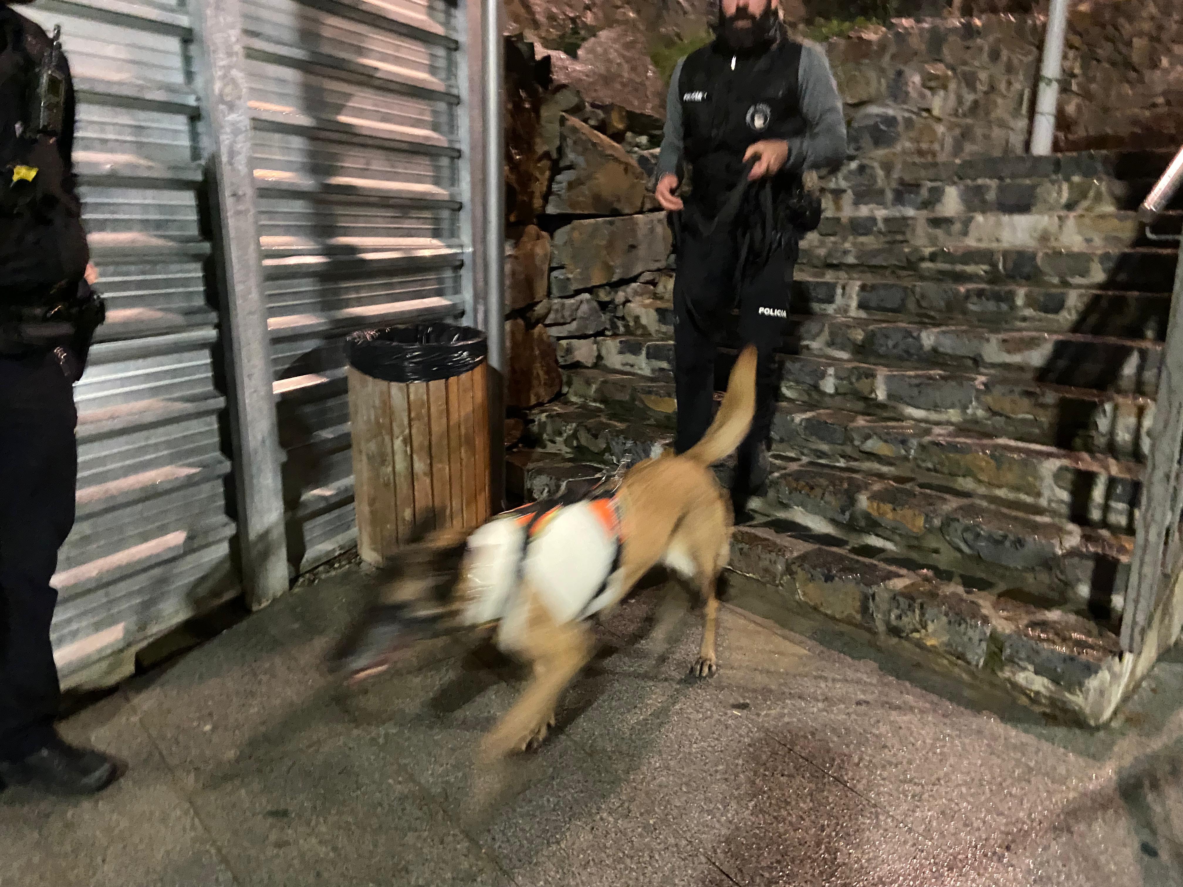 El grup caní de la policia en plena cerca, al tomb de l'avinguda Fiter i Rossell d'Escaldes. El grup caní de la policia en plena cerca, al tomb de l'avinguda Fiter i Rossell d'Escaldes.