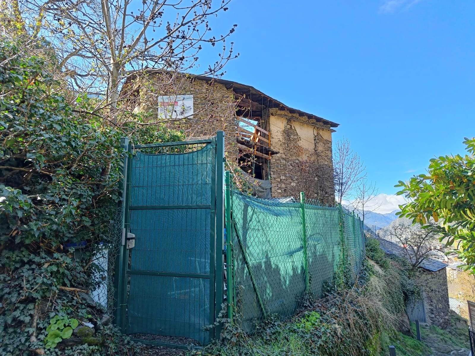 El colomer de Cotxa, aquest dilluns.