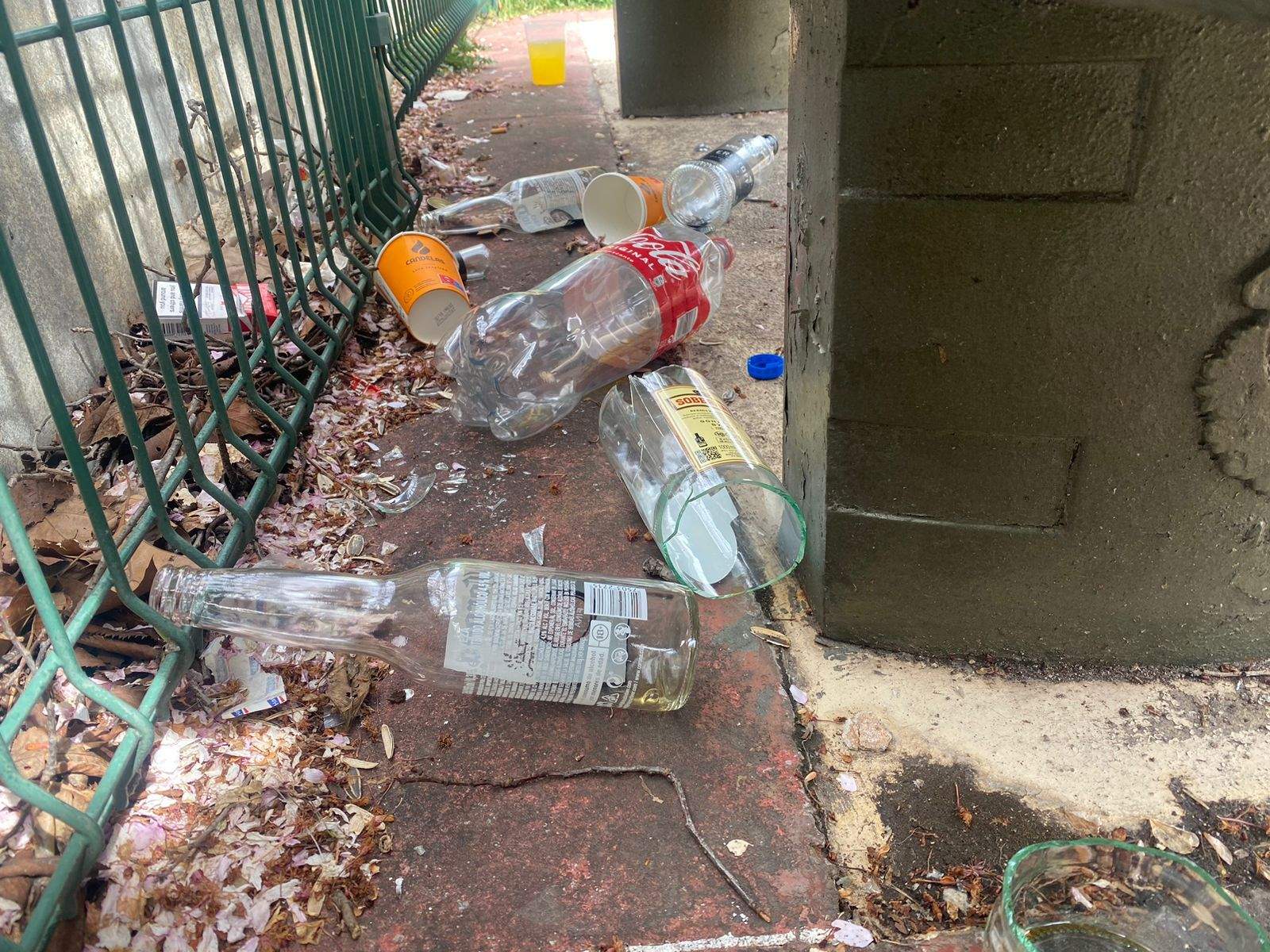 Les restes darrere un banc.