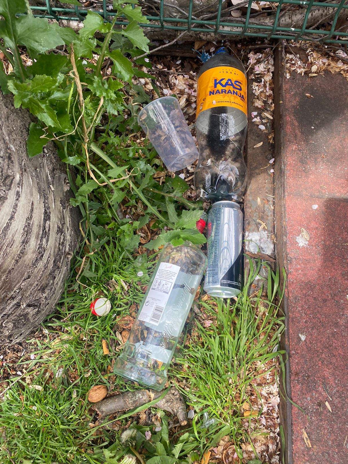 WhatsApp Image 2024 04 06 at 13.46.45 (1)