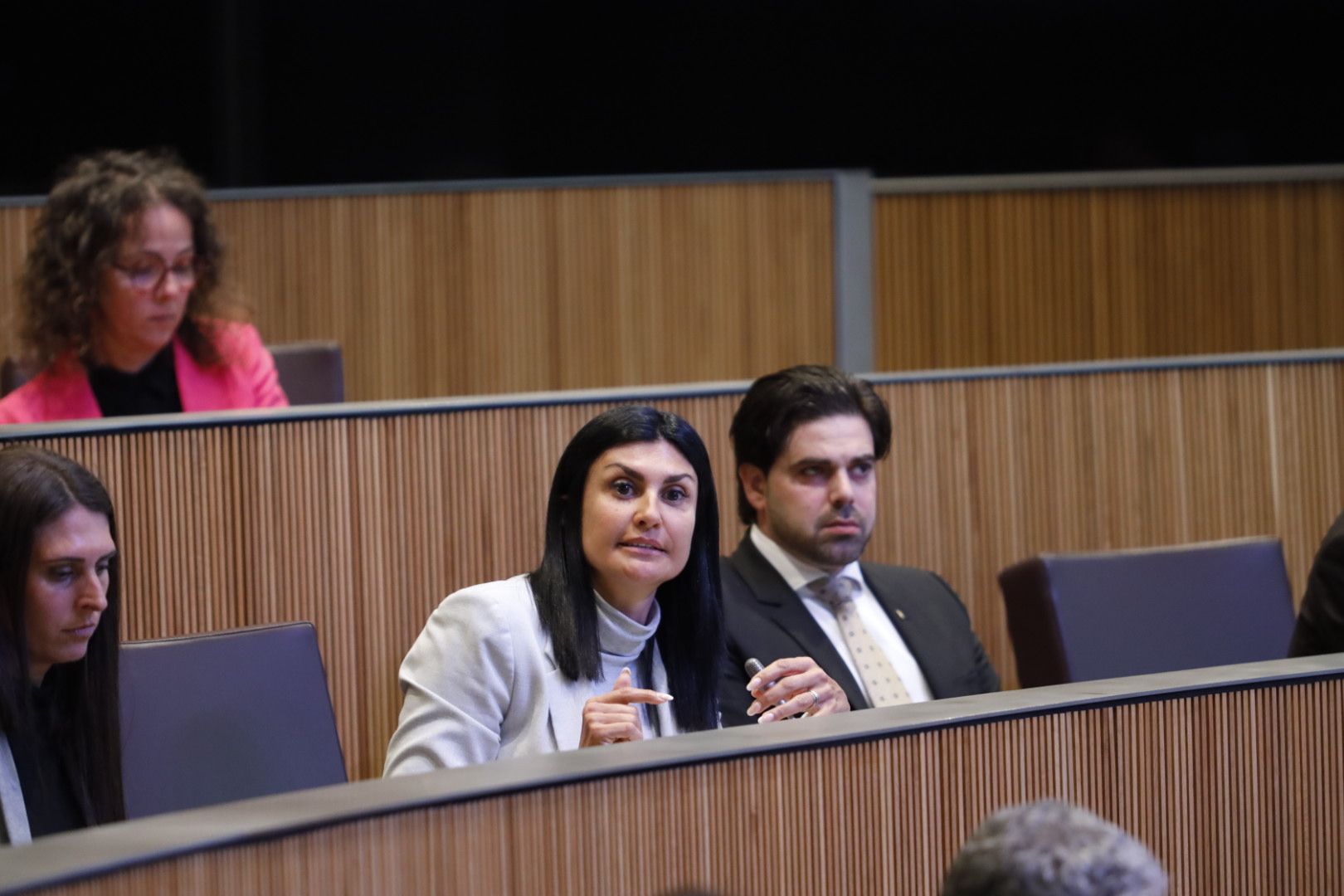 Carine Montaner, al centre de la imatge, durant la sessió de control d'aquest dijous al Consell General. Carine Montaner, al centre de la imatge, durant la sessió de control d'aquest dijous al Consell General.