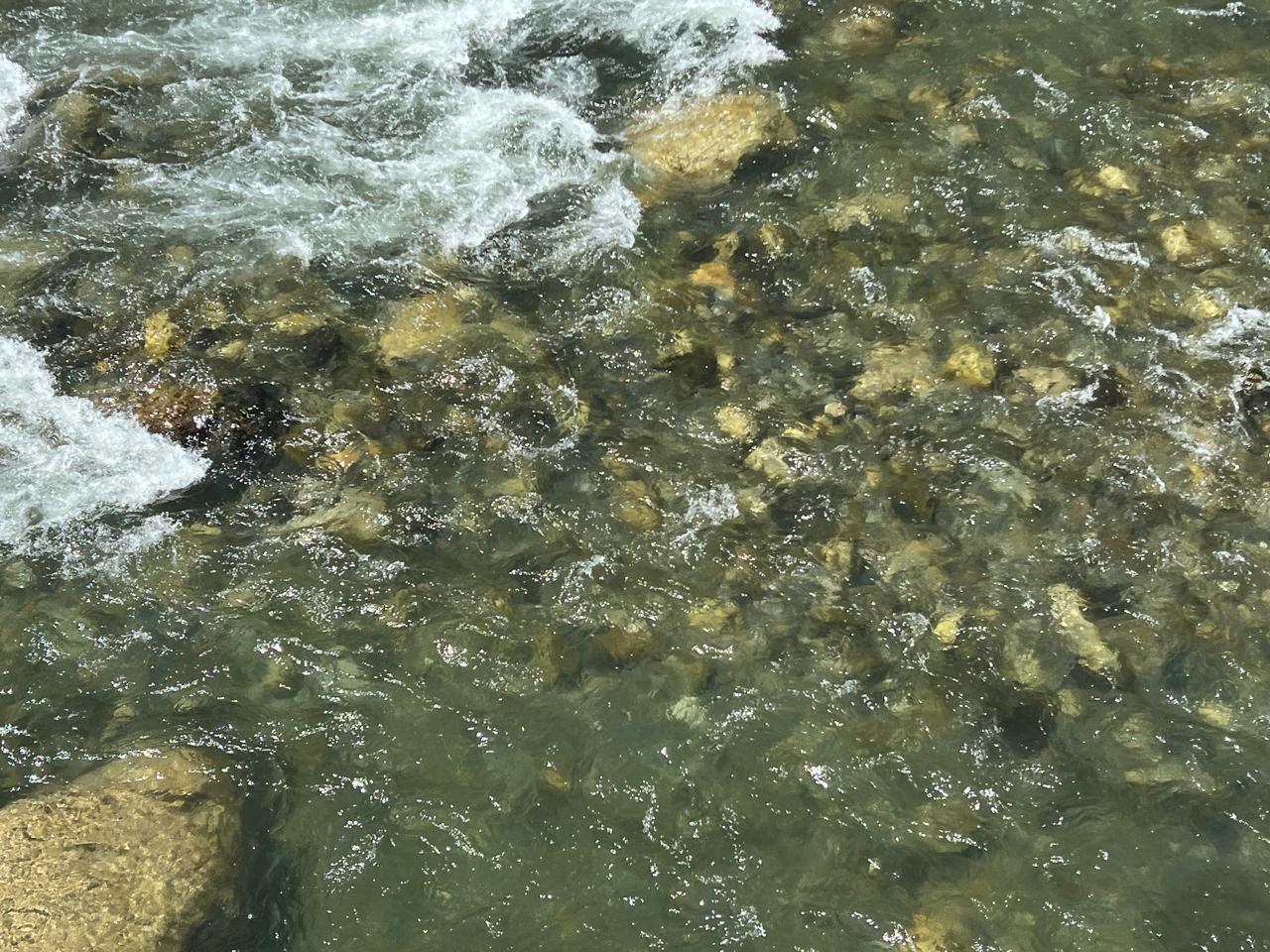 El riu al seu pas per Sant Julià de Lòria.