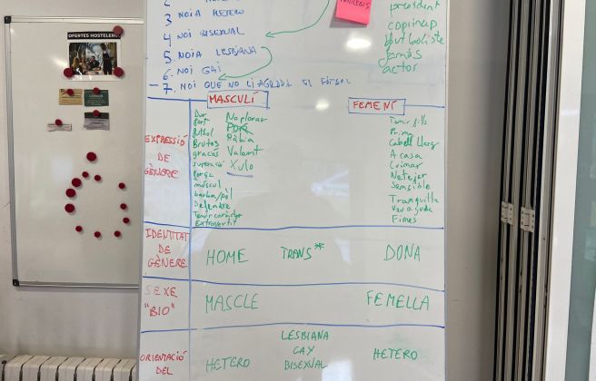 Les directrius a seguir per evitar casos d'assetjament escolar. 