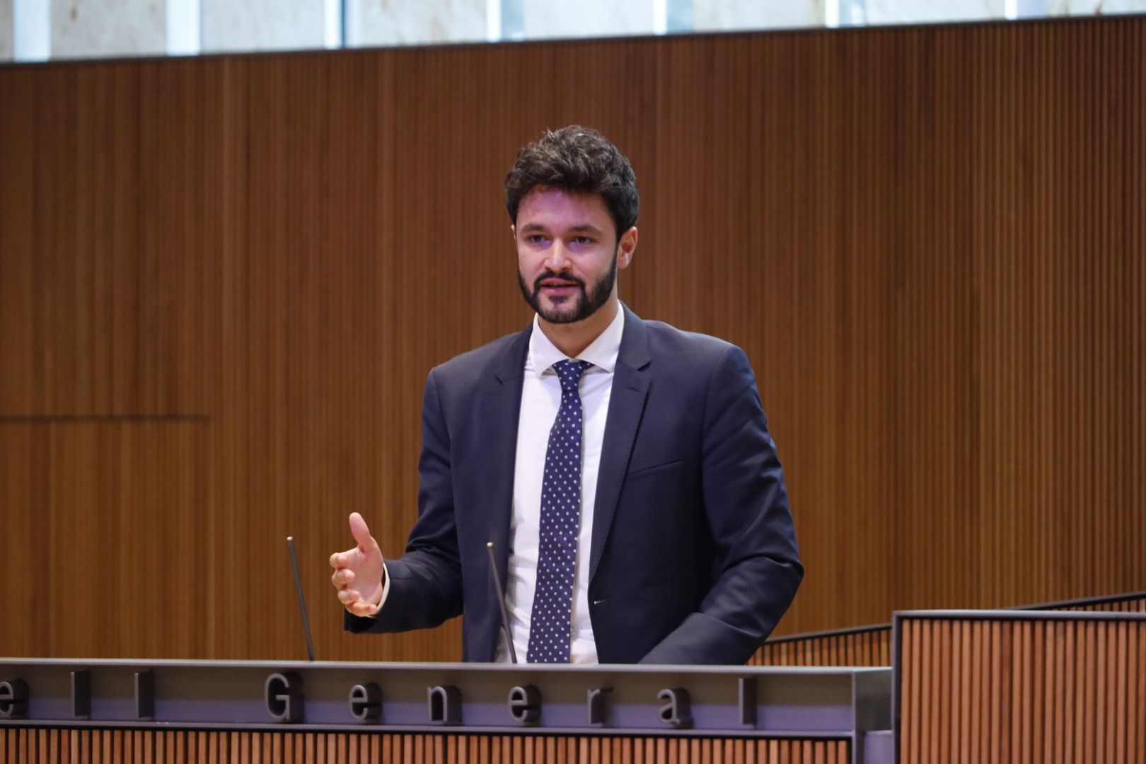 Cerni Escalé en una intervenció al Consell General.