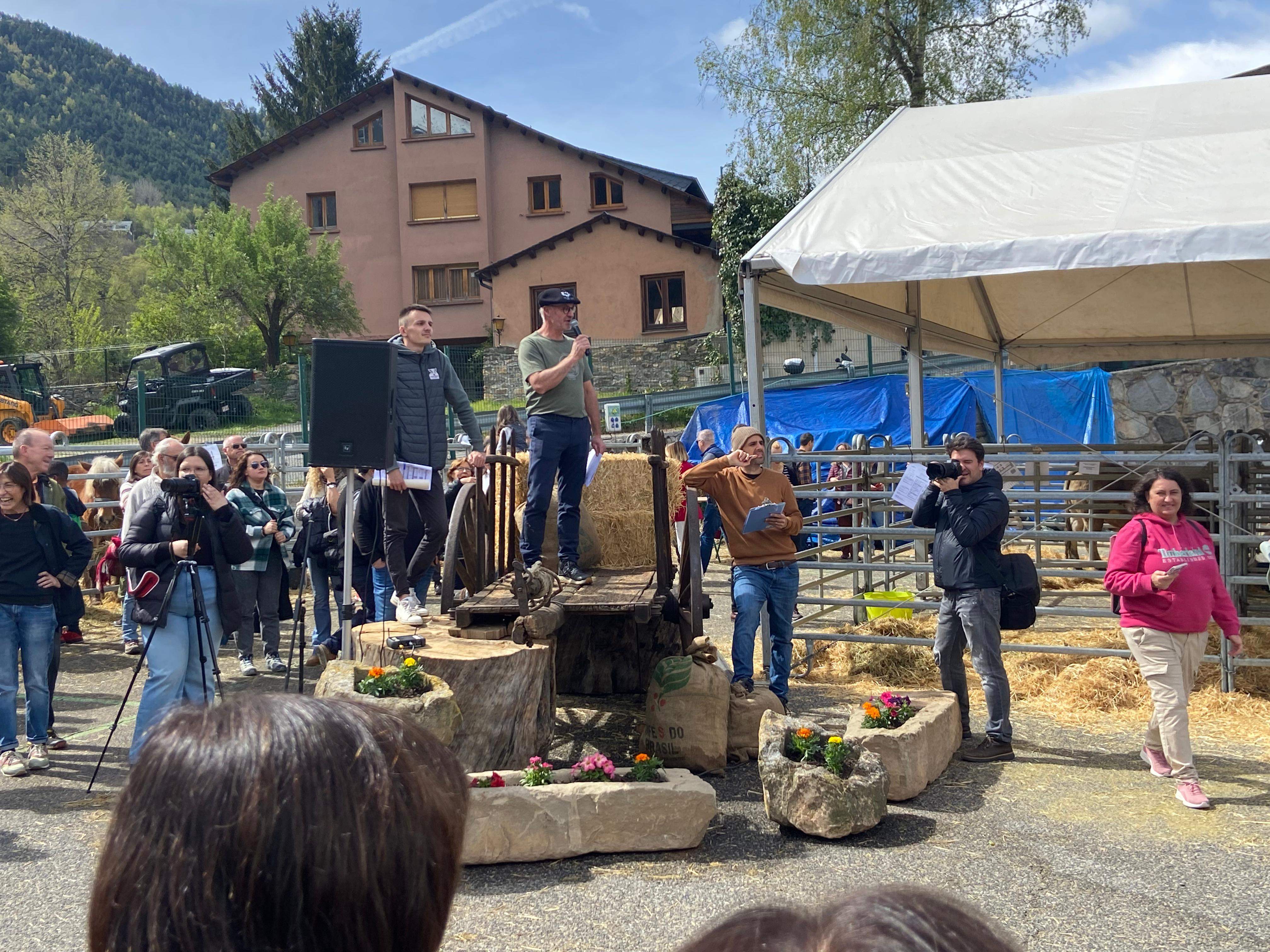 Els protagonistes de la subhasta dels quatre mascles.
