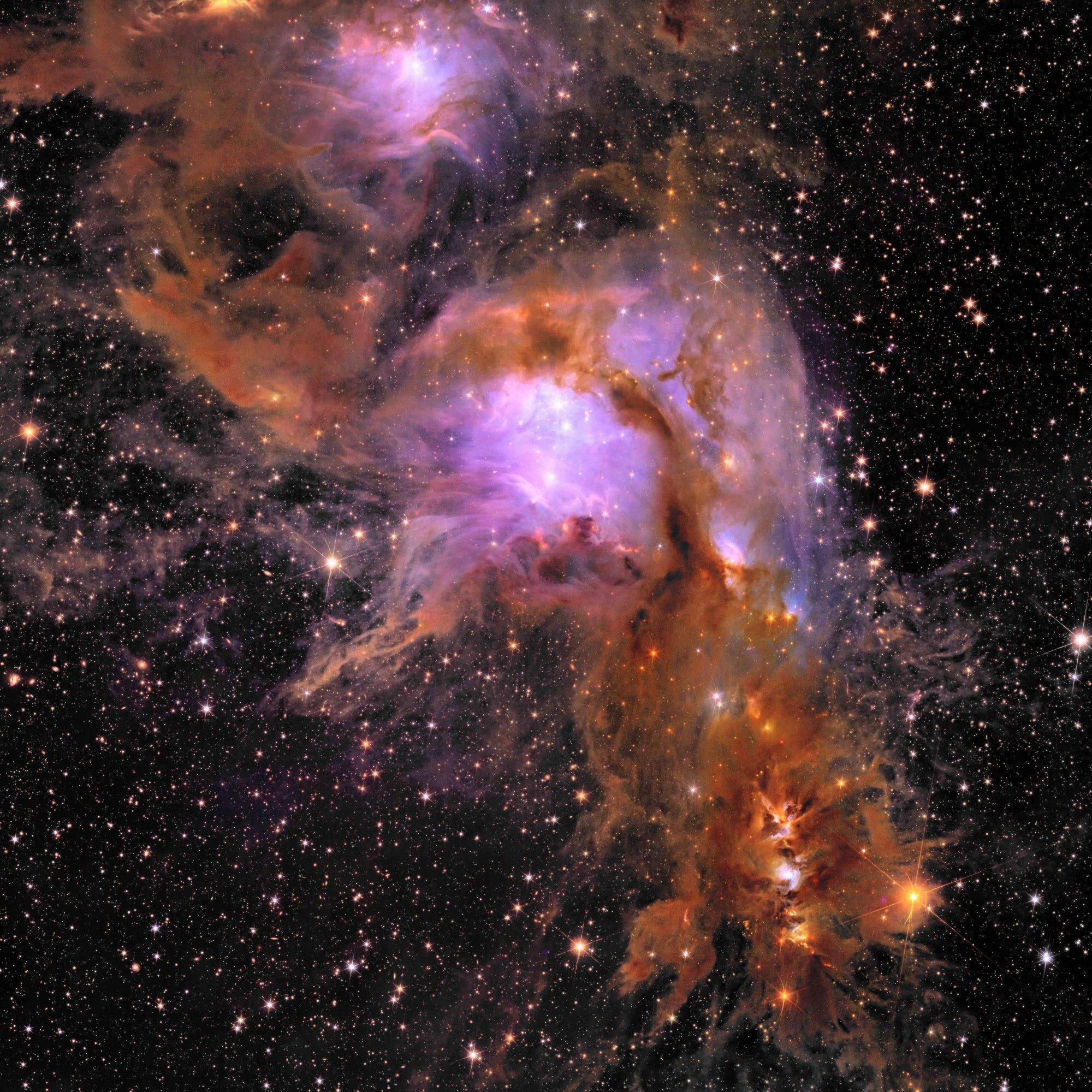 Vista de Messier 78 que combina imatges de les càmeres VIS i NISP La portaveu del Sindicat, Rebeca Bonache.