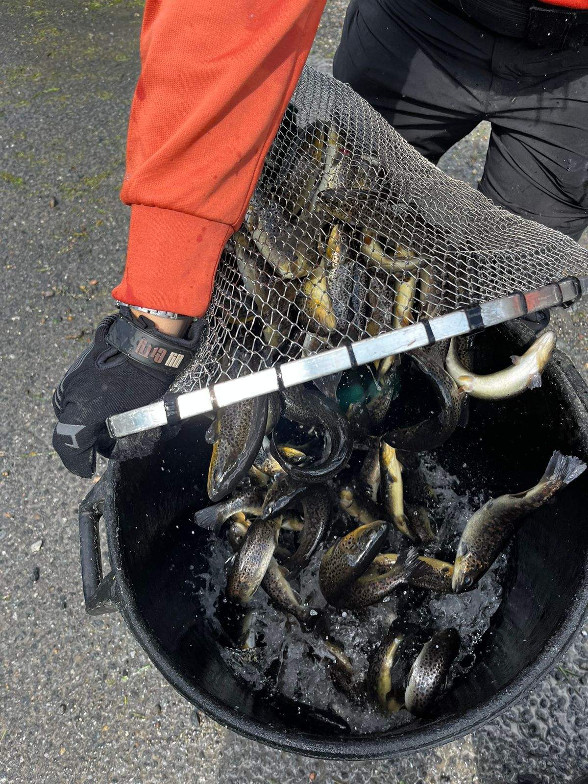 WhatsApp Image 2024 06 07 at 17.57.54 (1)