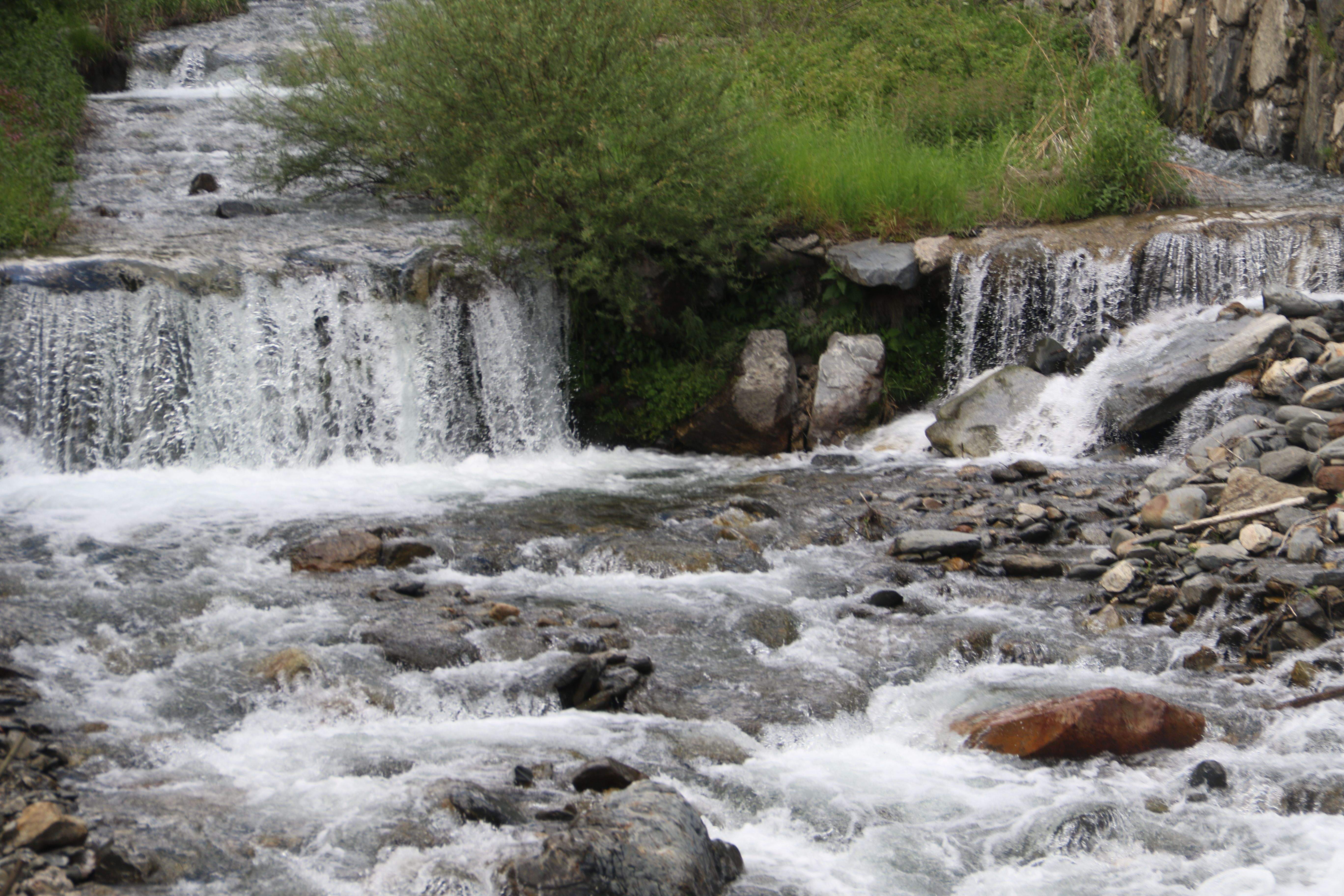 El riu al seu pas per la Massana.