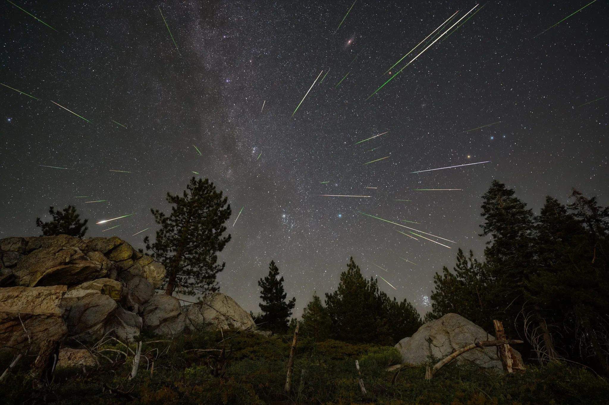 Article 19-1: Els Perseids 2023 vistos des del Sequoia National Forest als Estats-Units - Crèdit: NASA/Preston Dyches La portaveu del Sindicat, Rebeca Bonache.