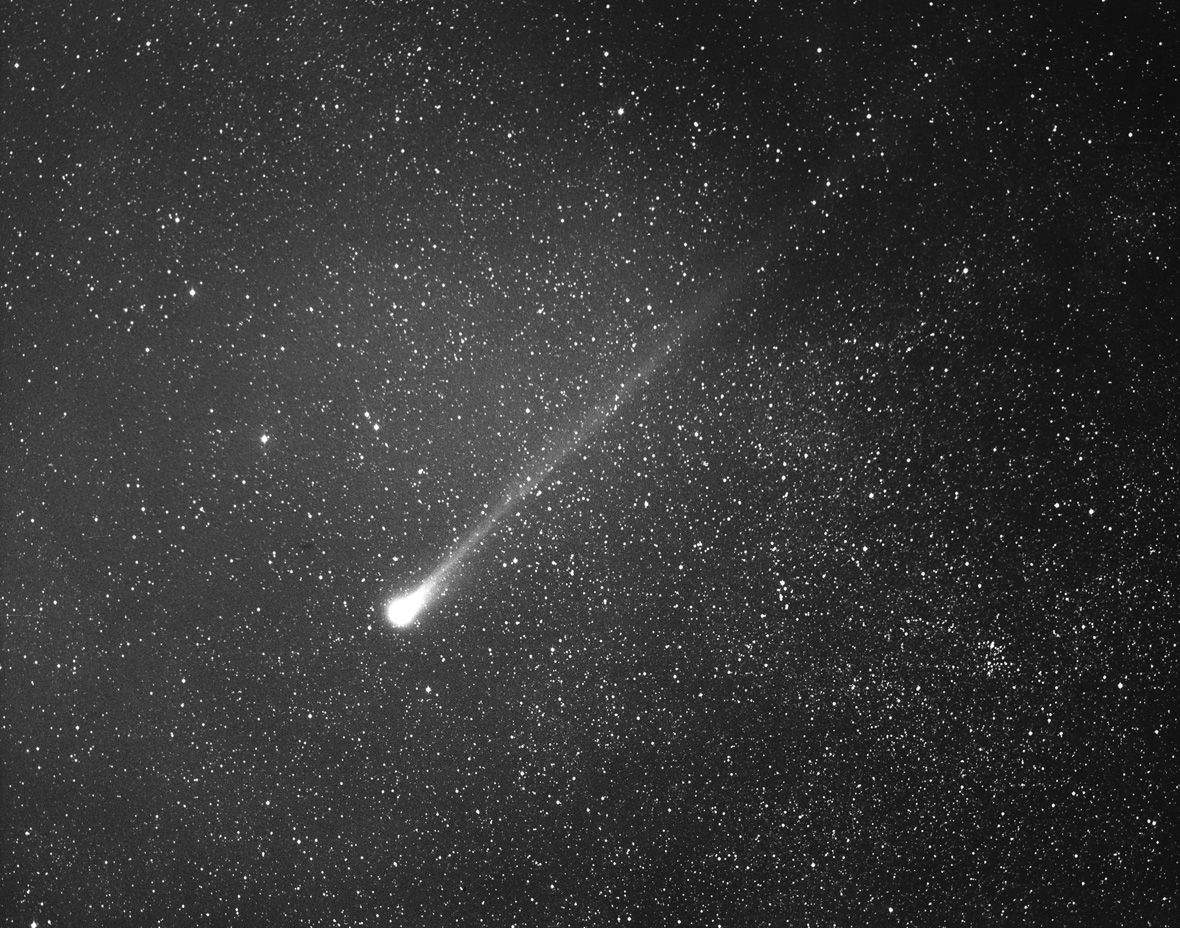 Article 19-2: El cometa Swift-Tuttle vist al 1992, el darrer cop que es va aproximar a la Terra - Crèdit: Chris Schur La portaveu del Sindicat, Rebeca Bonache.