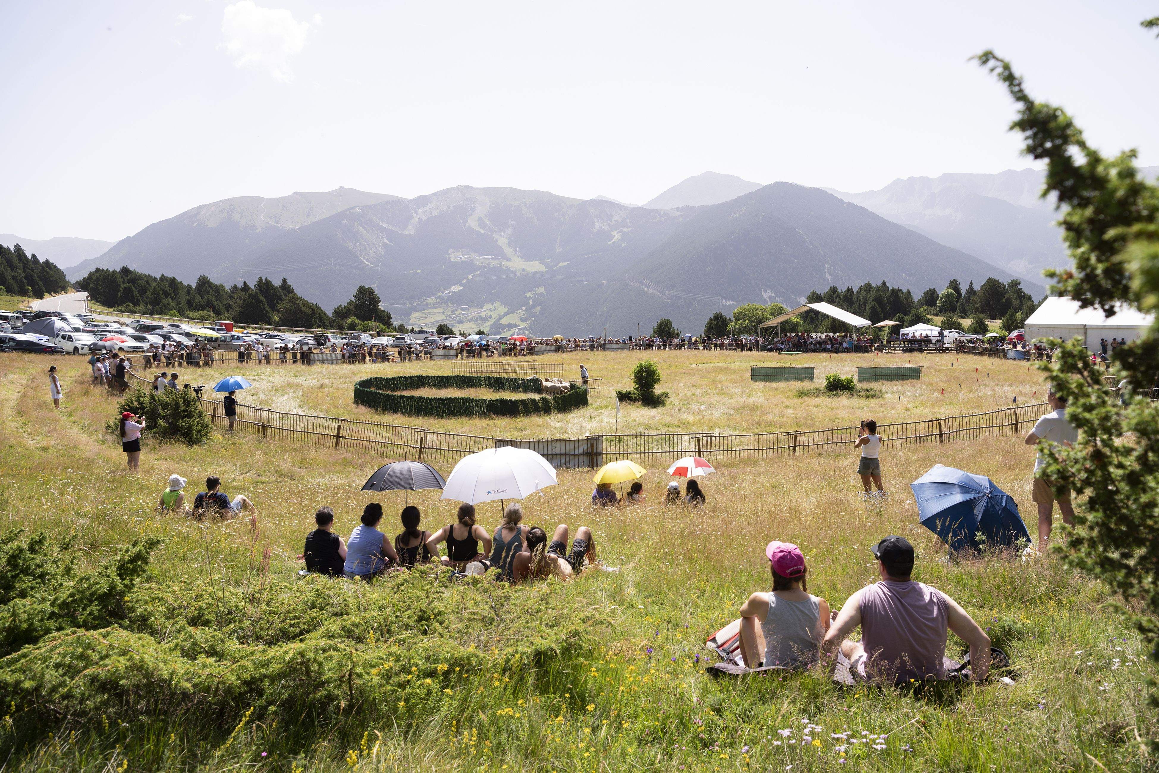 Un moment del concurs de gossos d'atura de Canillo.