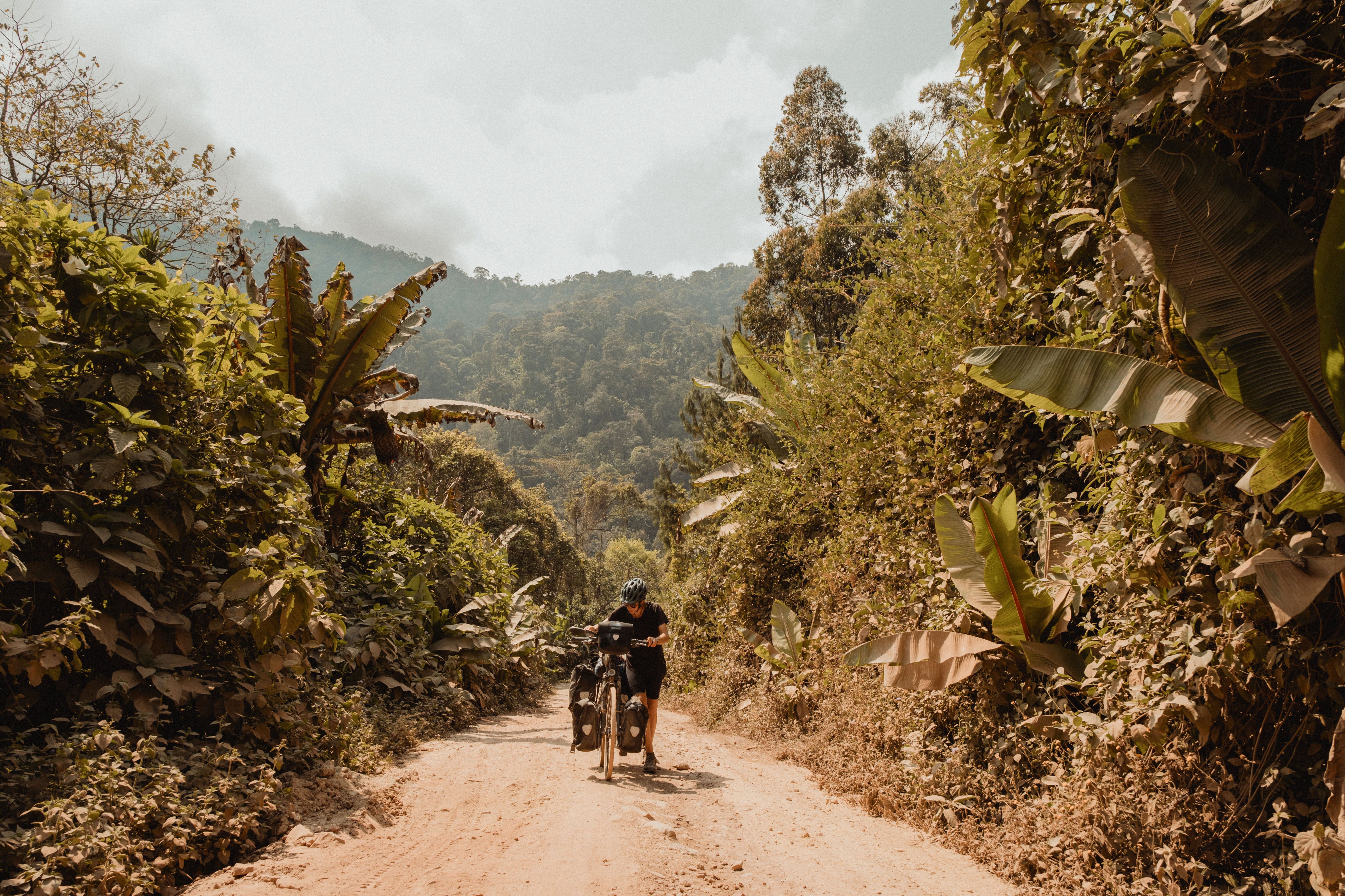 Un dels camins de terra que han hagut de recórrer. Un dels camins de terra que han hagut de recórrer.