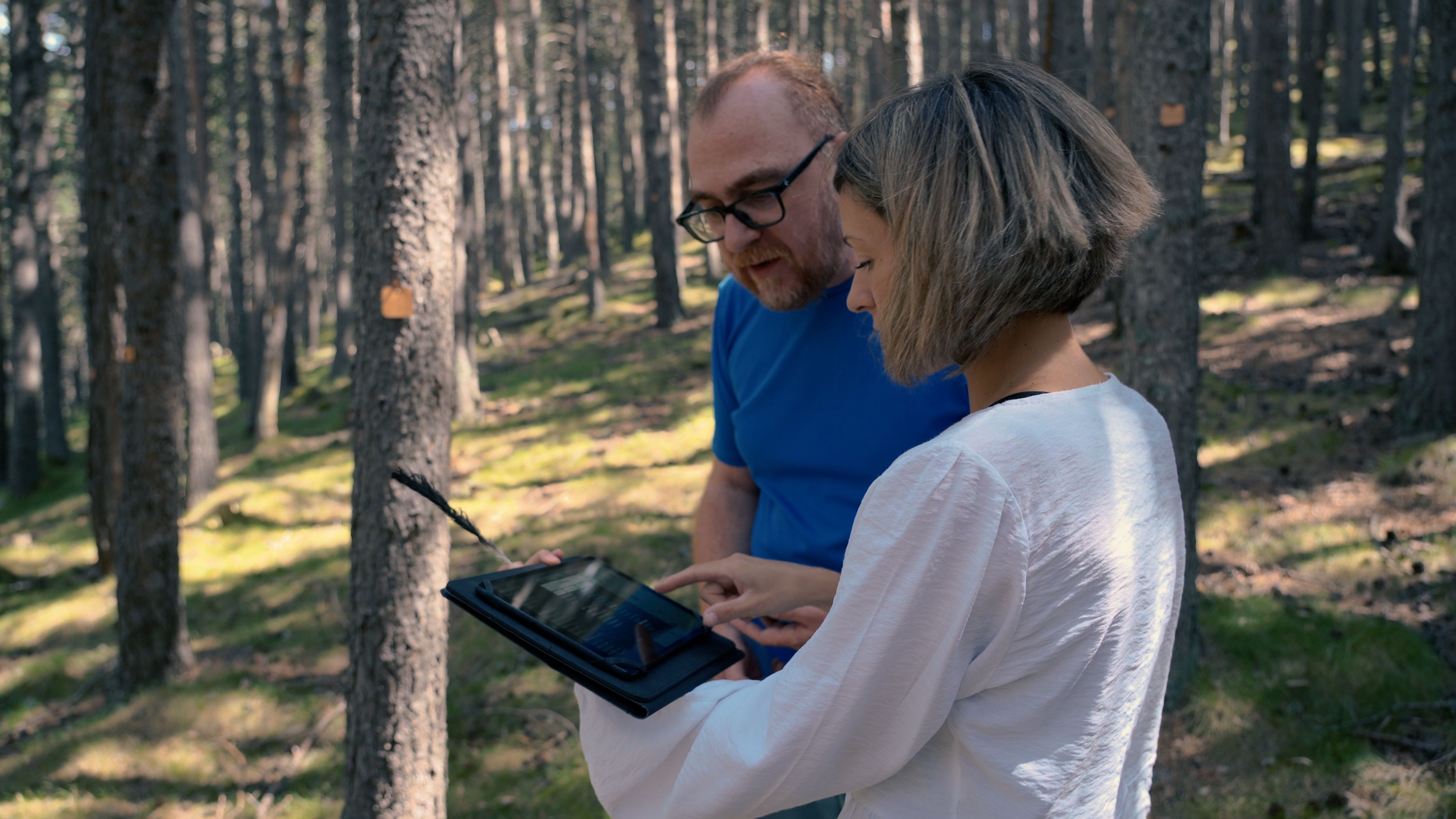 Investigadors de l'AR+I al marteloscopi d'Andorra