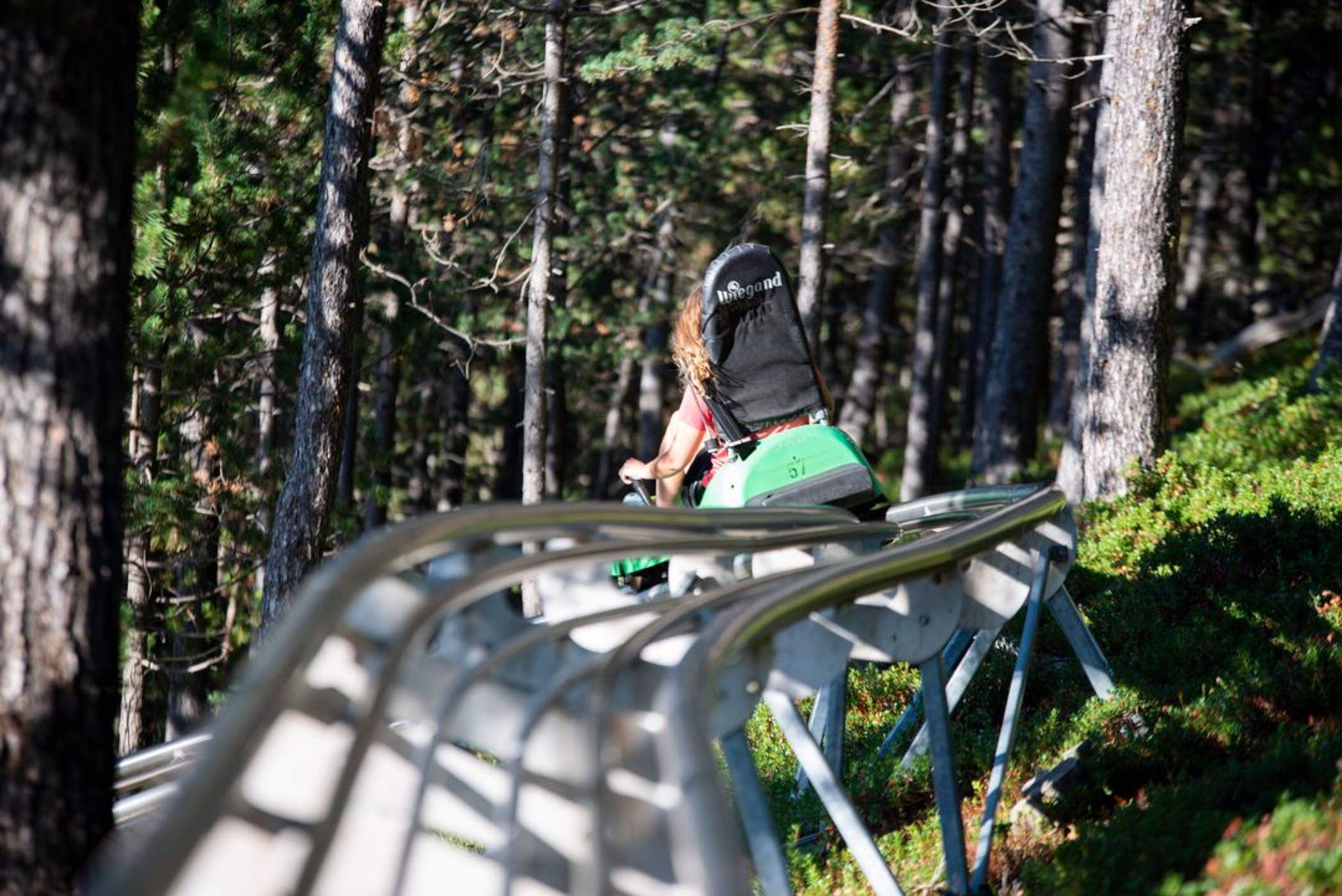 El tobotronc continua sent una de les activitats estrella de Naturland.