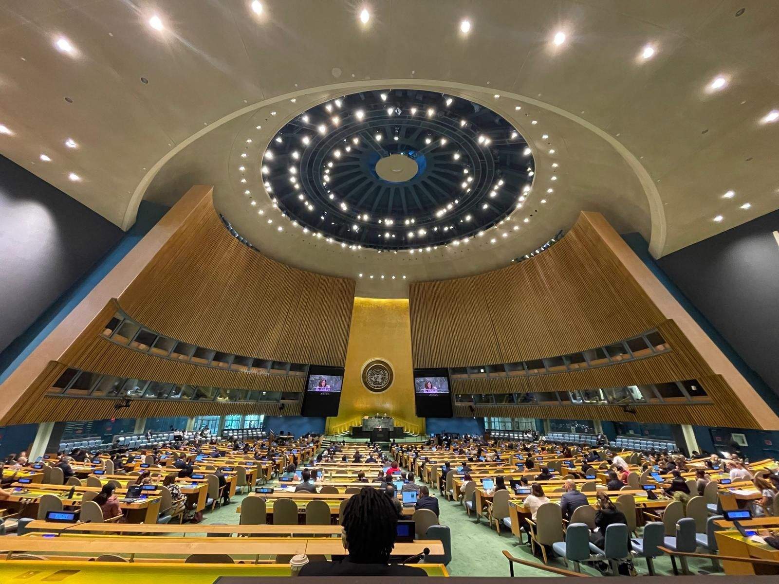 L'Assemblea General de les Nacions Unides (ONU).