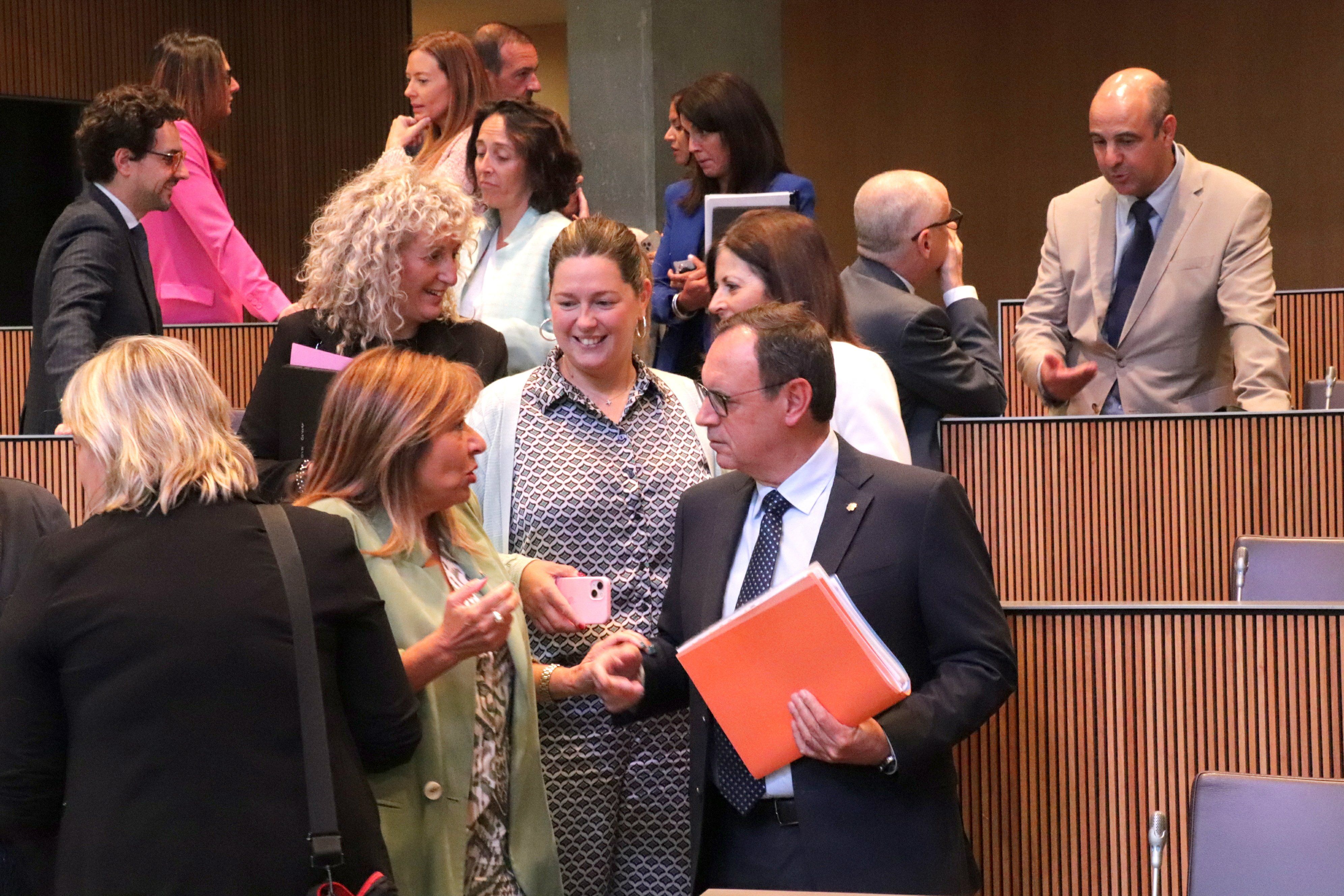 Marsol parla amb el president del grup demòcrata, Jordi Jordana, abans de la sessió del Consell.