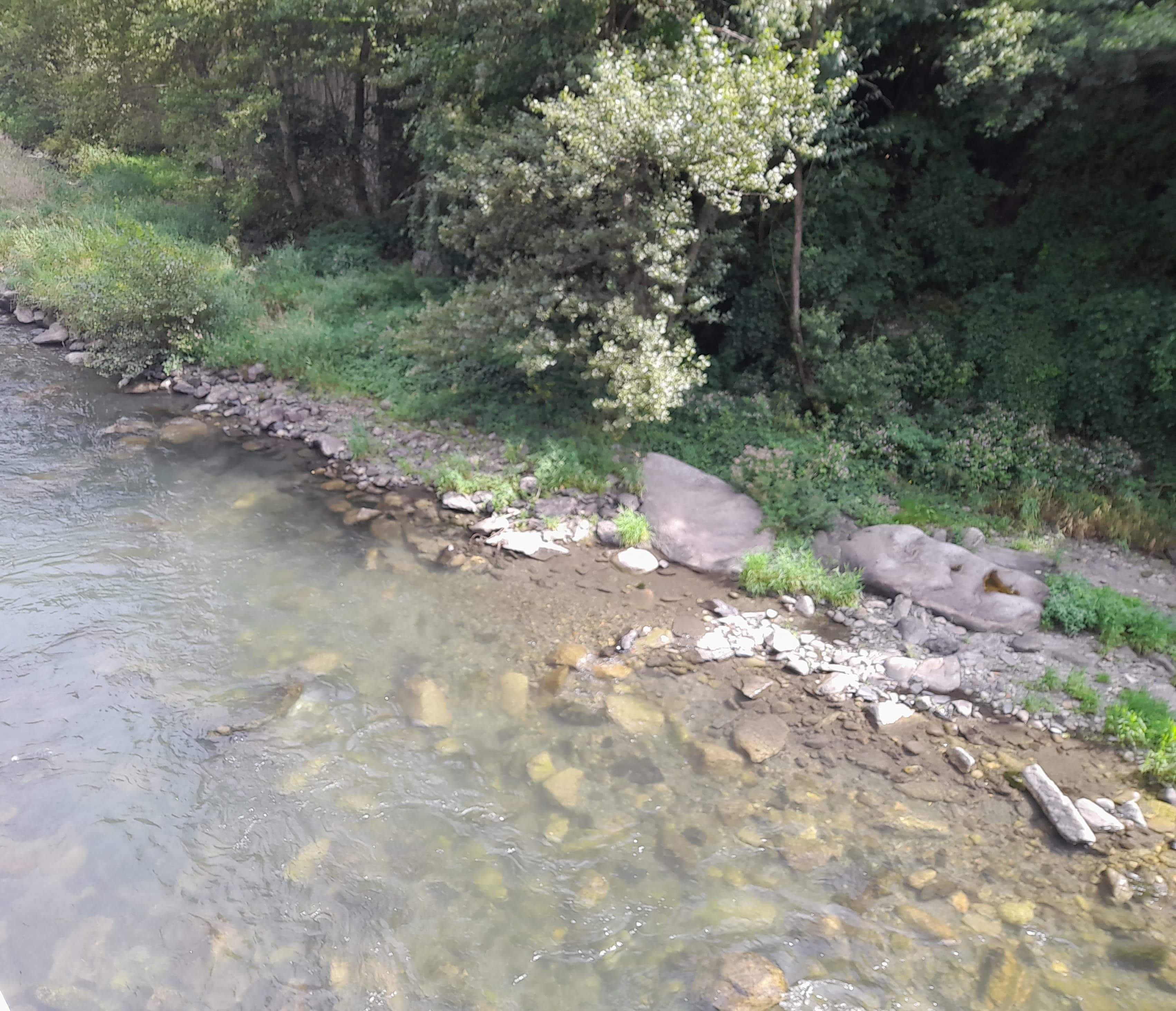 El riu Valira a tocar del pont de la Margineda.