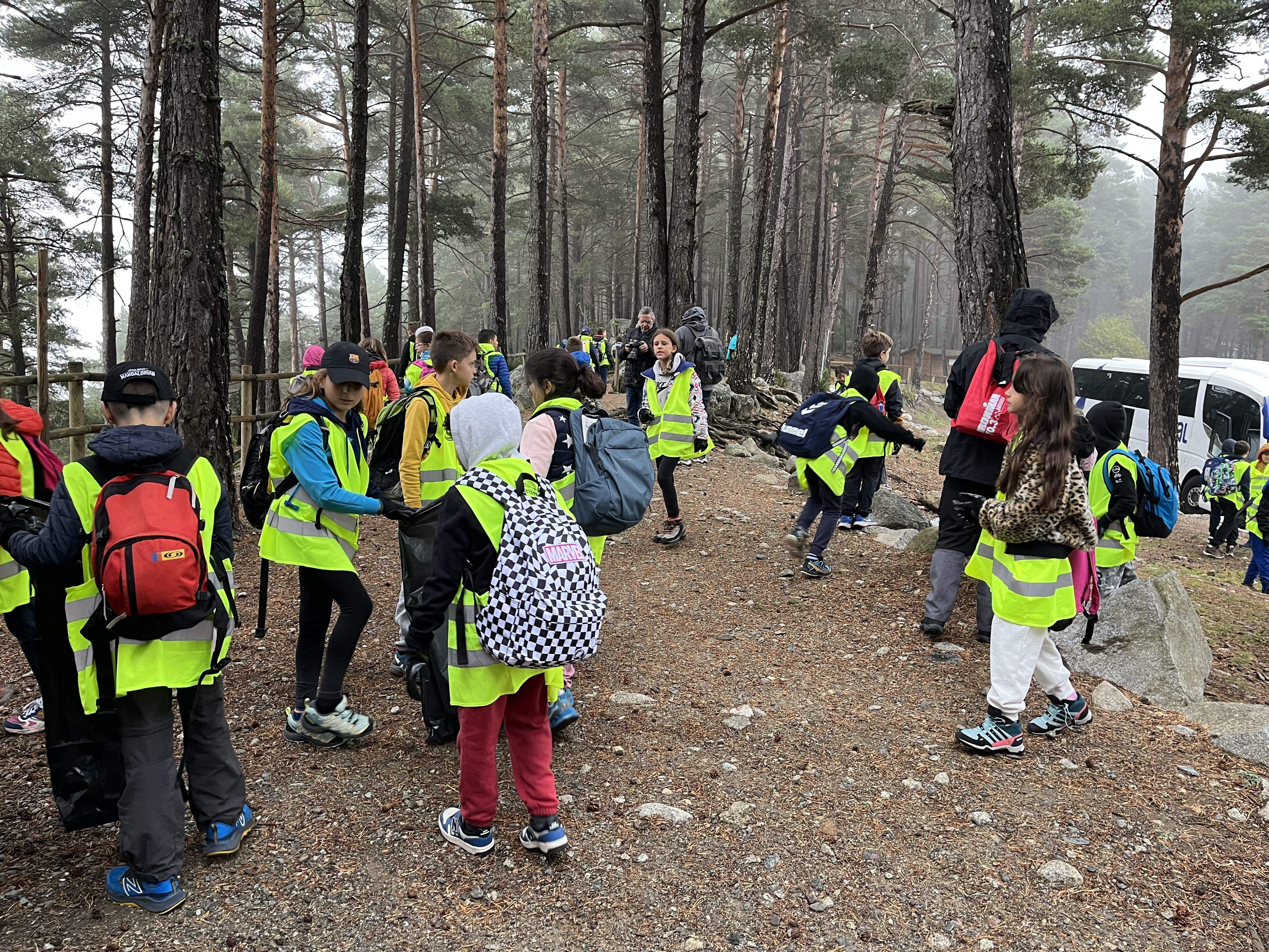 Els alumnes recollint la brossa. Els alumnes recollint la brossa.
