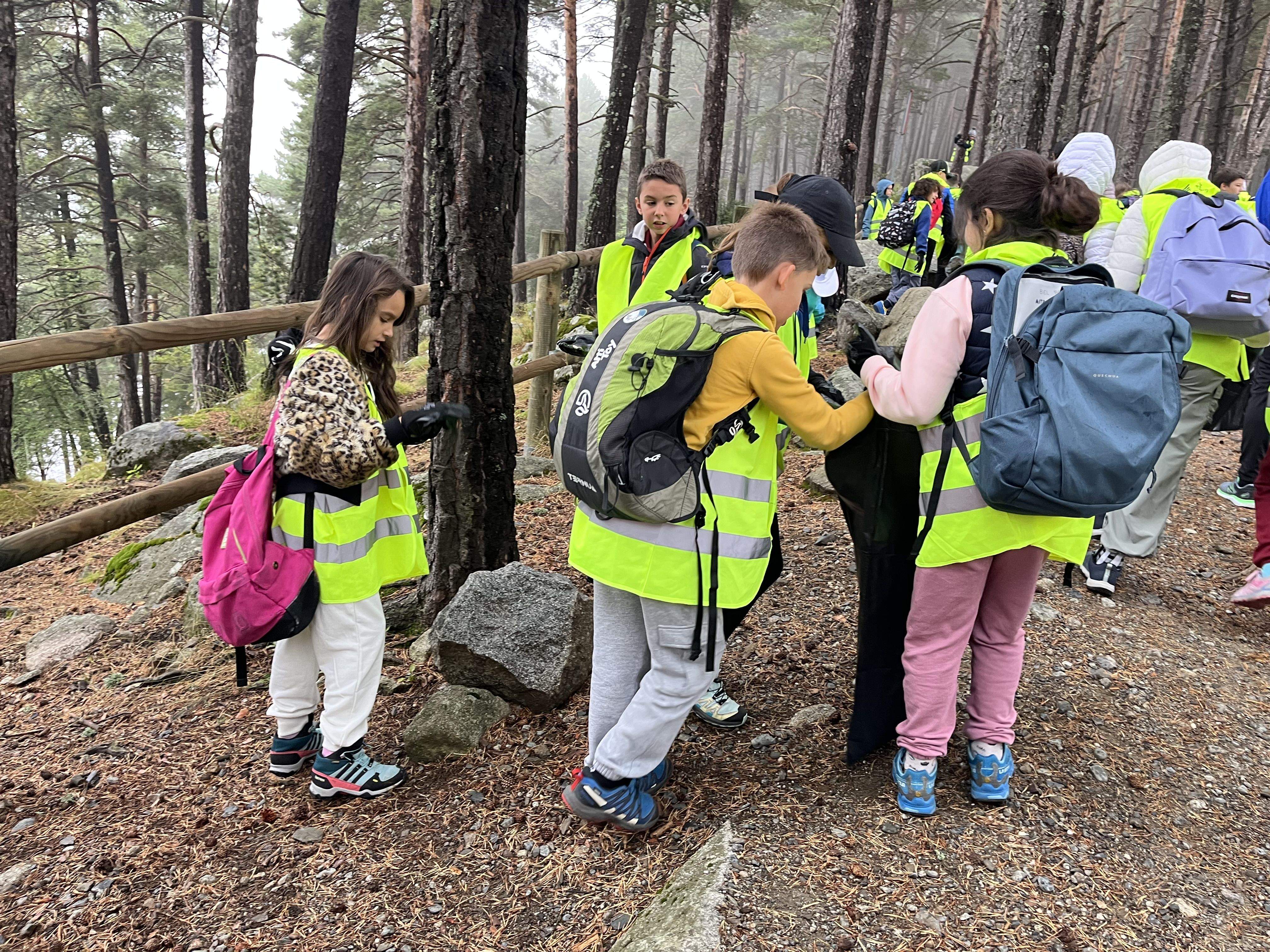 Recollint els residus del bosc. Recollint els residus del bosc.