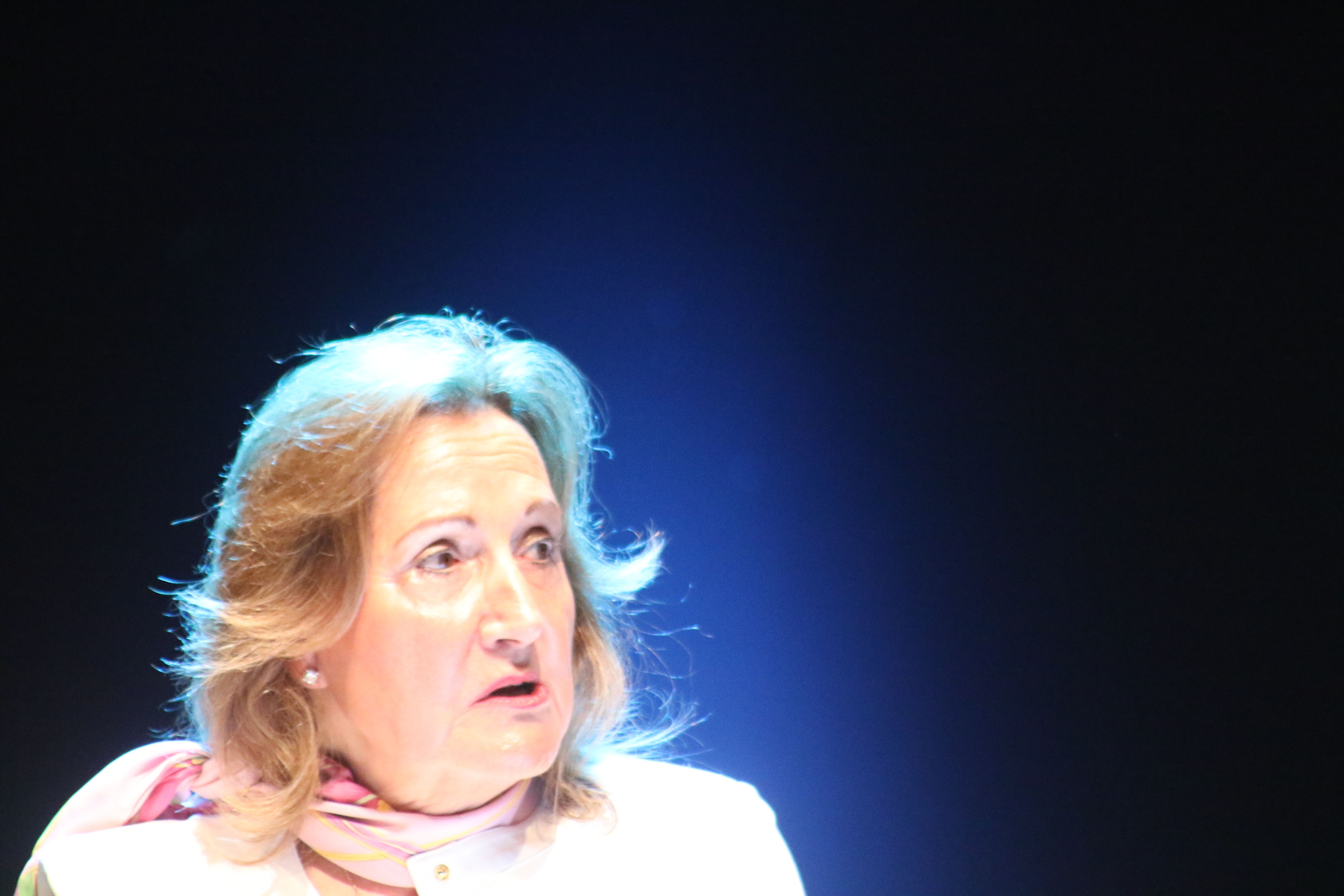 Magda Marquet durant la seva ponència.