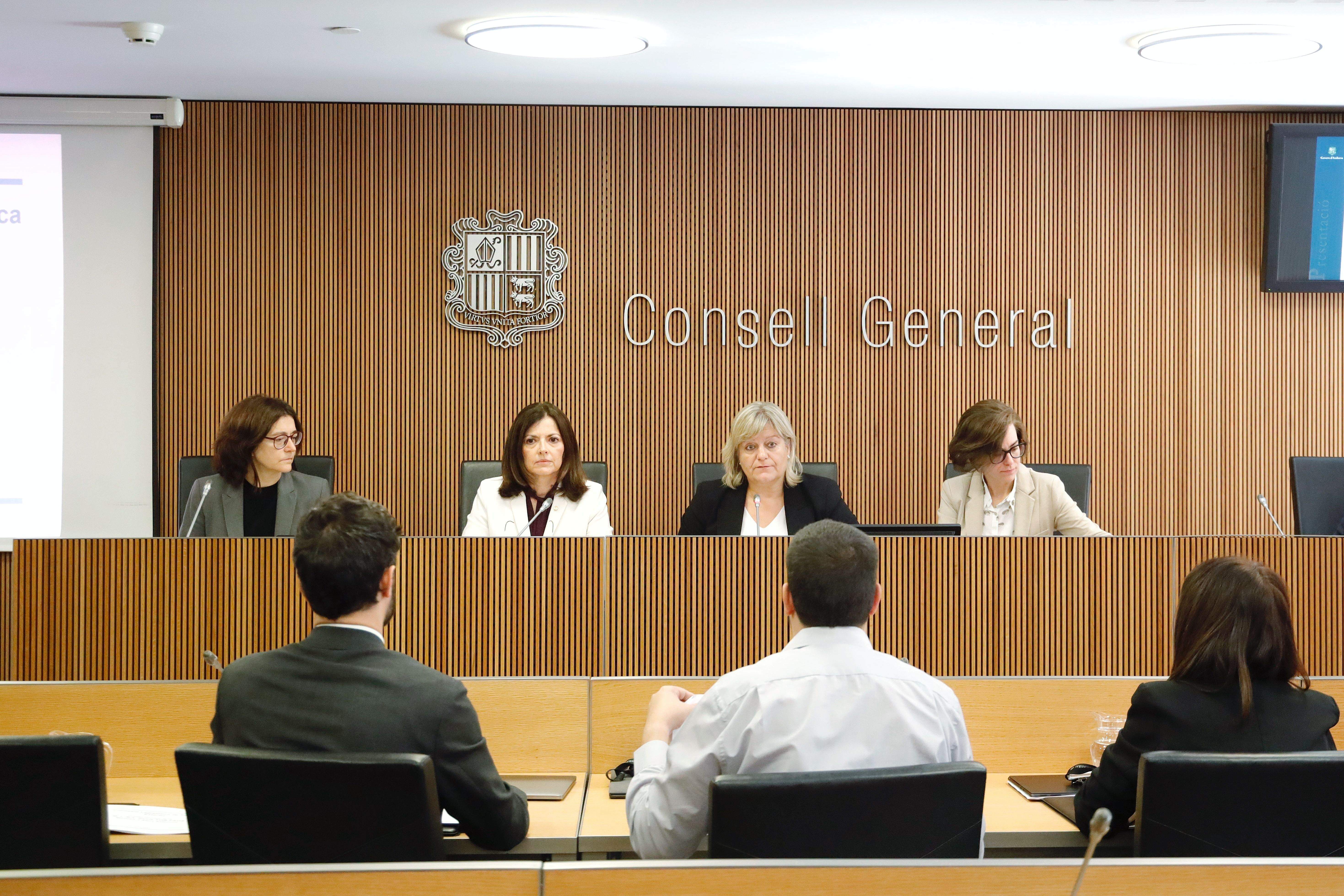 Un instant de la compareixença d'aquest divendres al Consell General.