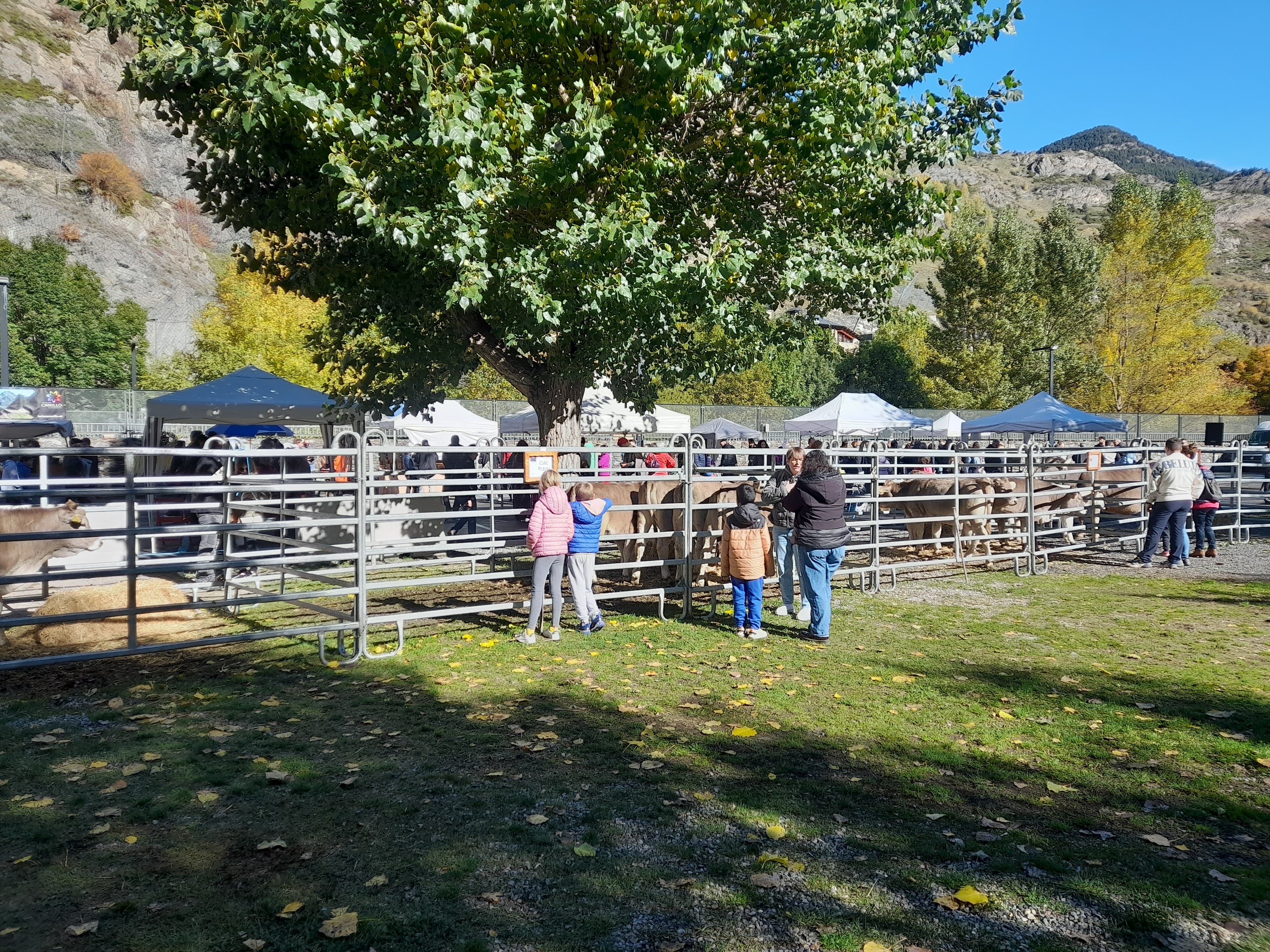 Assistents a la Fira del Bestiar. Assistents a la Fira del Bestiar.