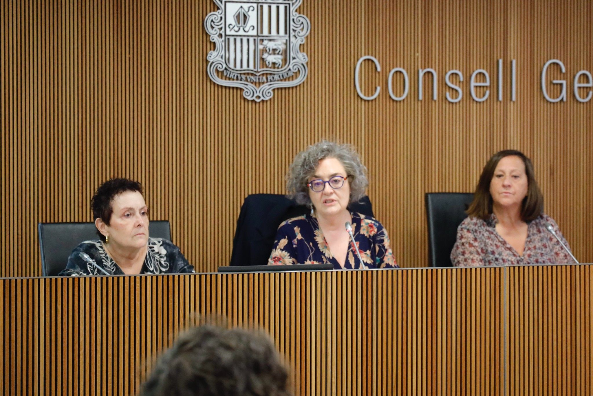 Un instant de la compareixença de l'Institut Andorrà de les Dones.