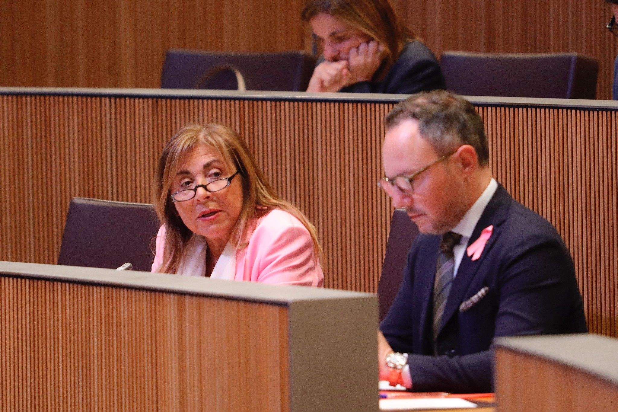 Marsol, al costat d'Espot, responent les preguntes.