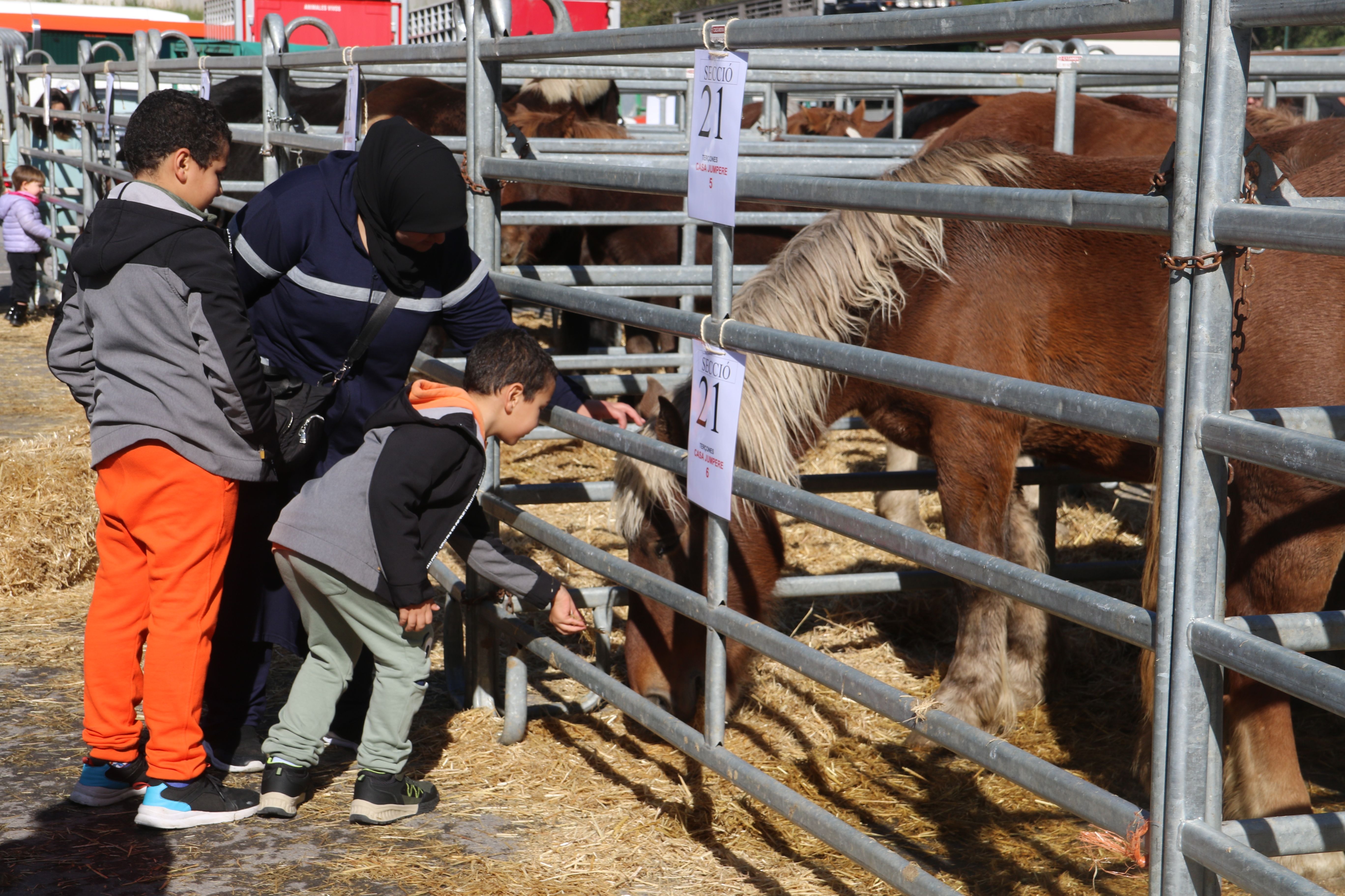 Una mare i els seus fills acaronant un equip a la fira.