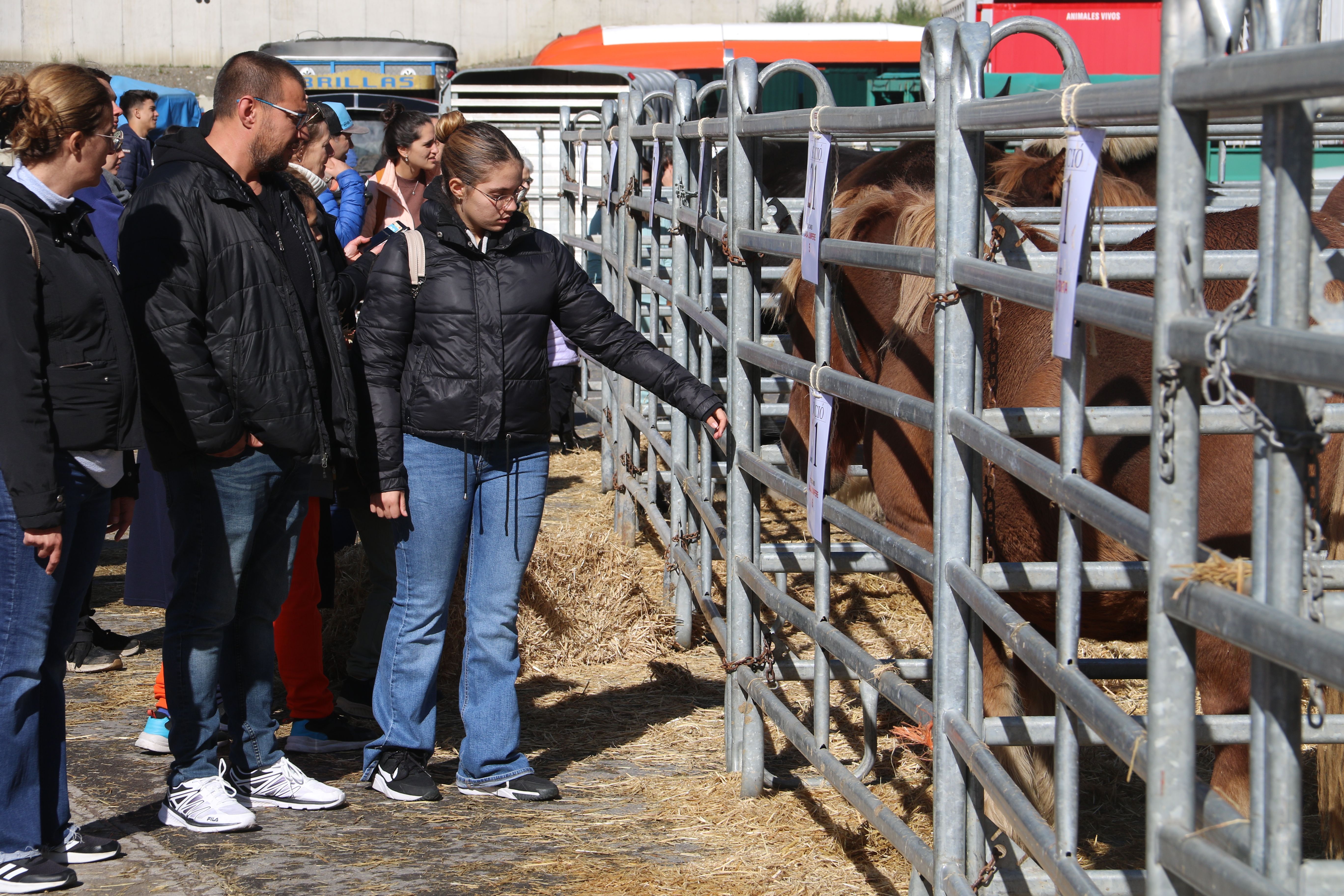 Una família observant equins. Una família observant equins.