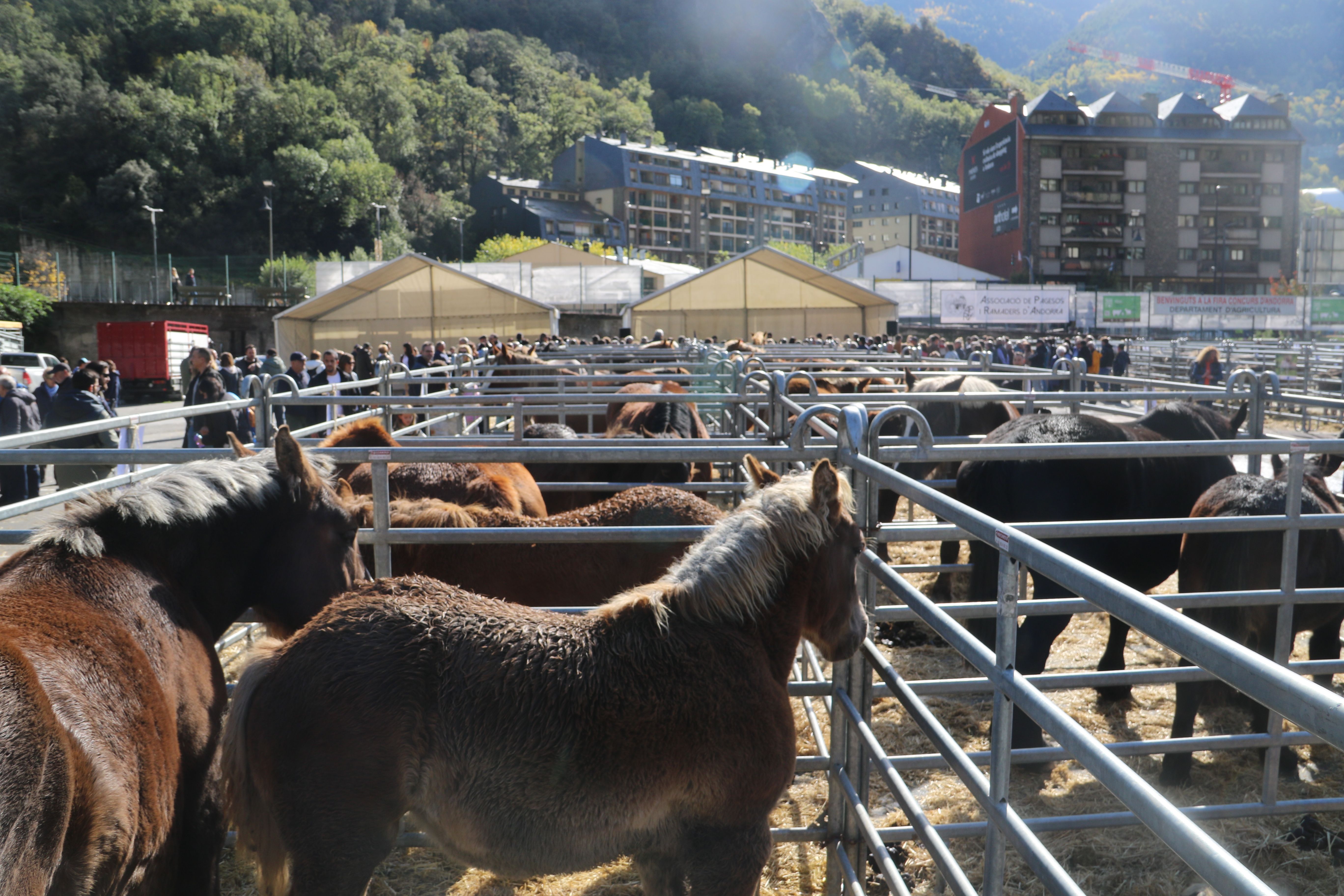 Imatge d'una part dels tancats. Imatge d'una part dels tancats.