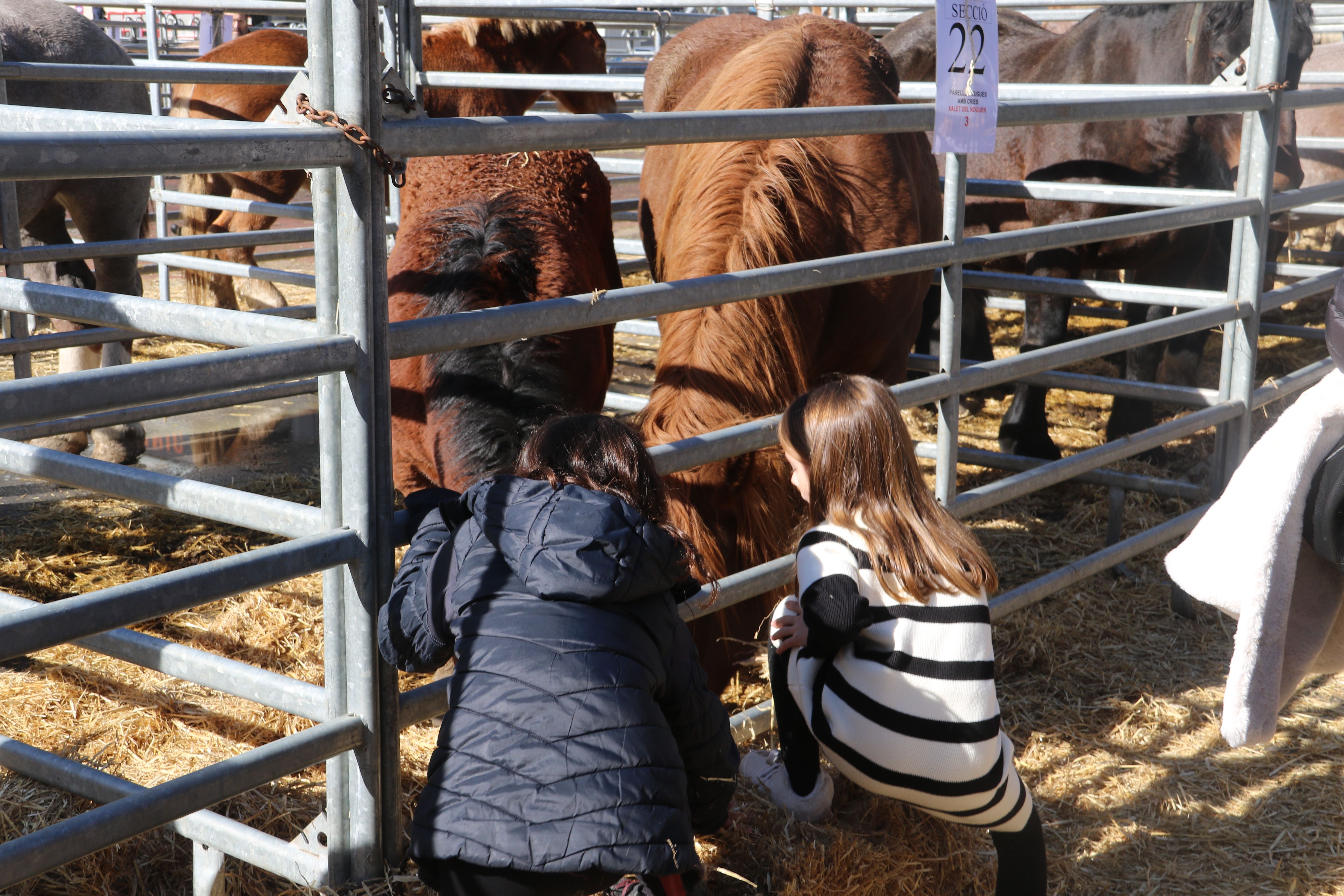 La canalla gaudeix donant ferratge al bestiar. La canalla gaudeix donant ferratge al bestiar.