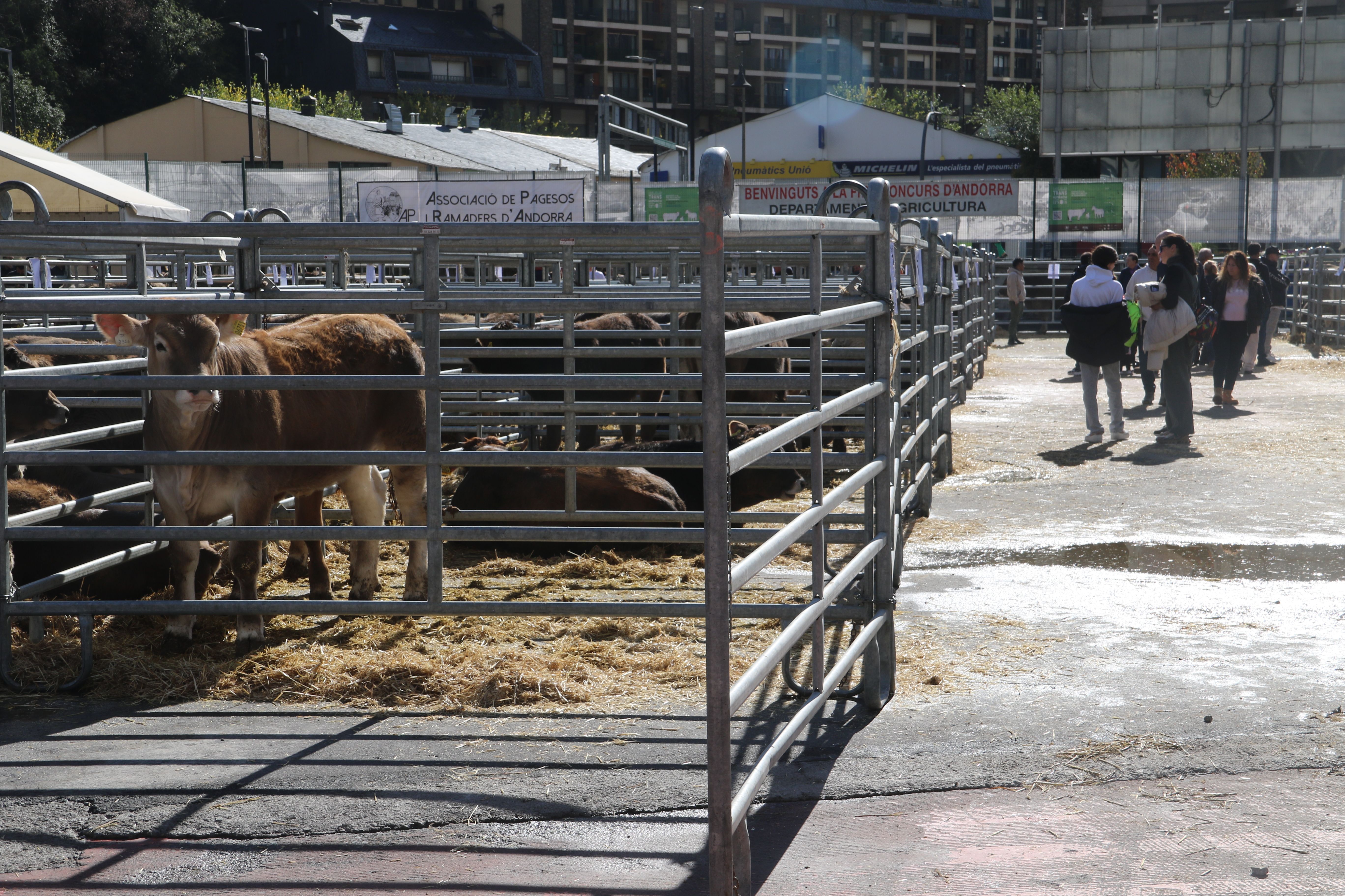 Una vista dels tancats de la fira. Una vista dels tancats de la fira.