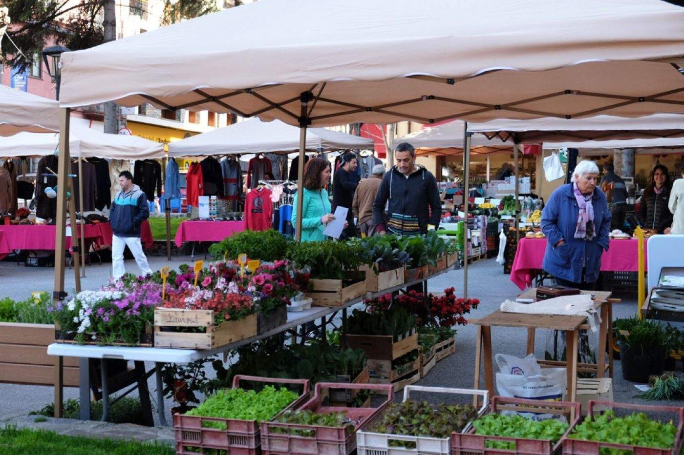 Els mercats del dissabte era una de les activitats impulsades per l'AEE fa uns anys.