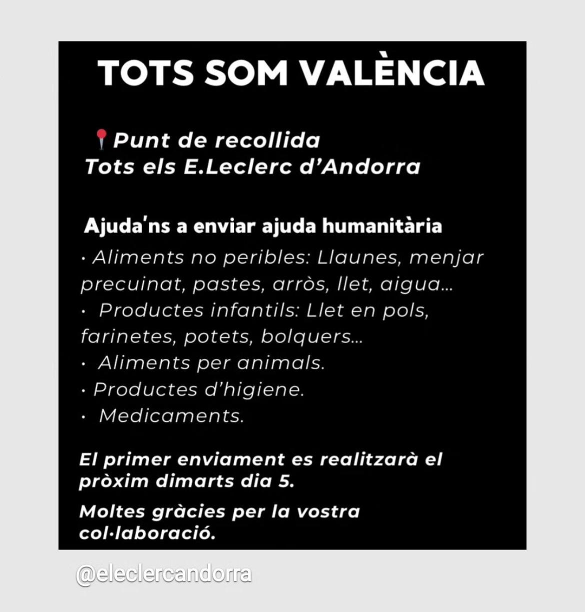 WhatsApp Image 2024 11 02 at 19.55.16 La portaveu del Sindicat, Rebeca Bonache.