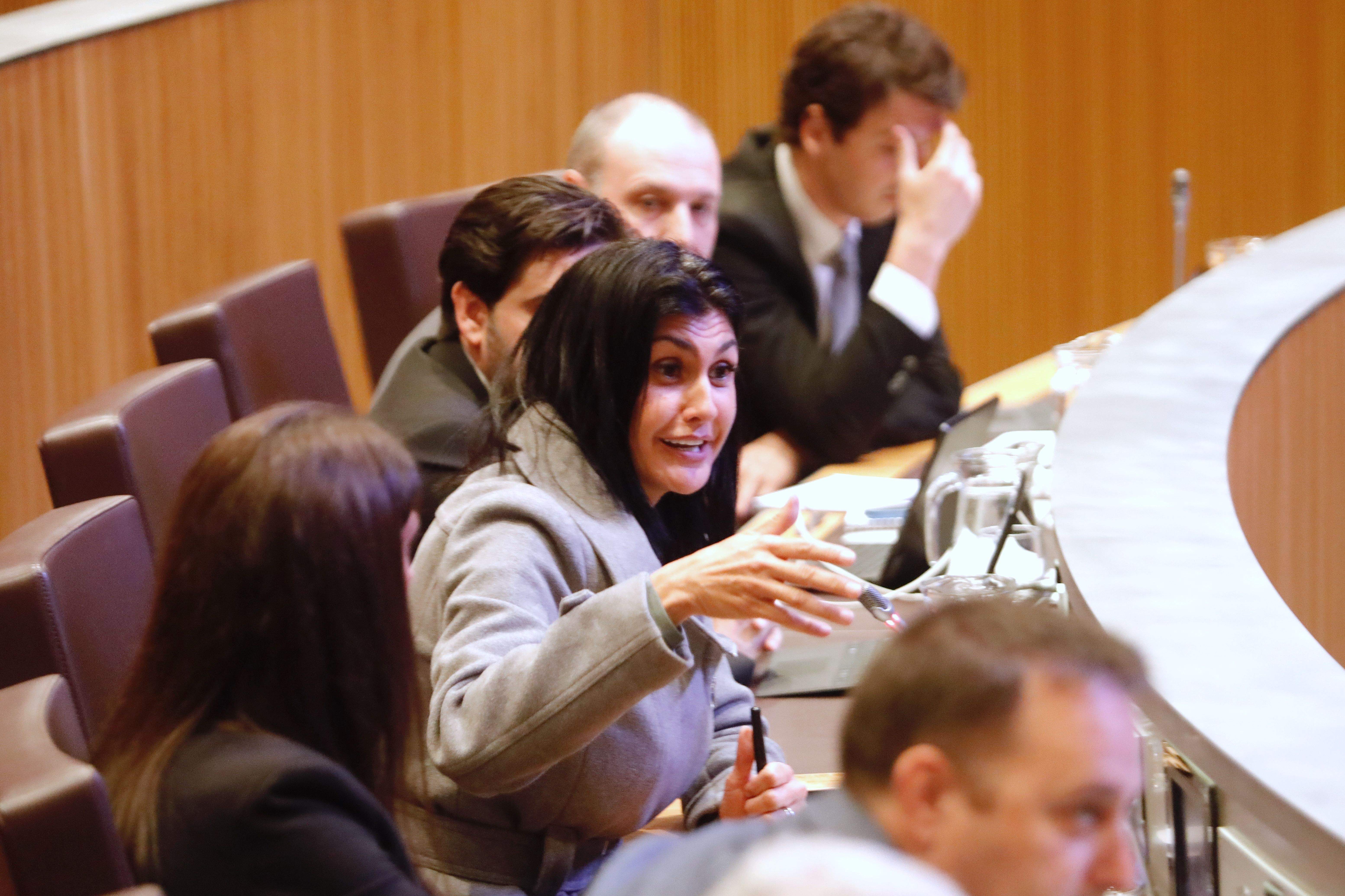 Carine Montaner, aquest dijous durant la sessió de preguntes al Govern.